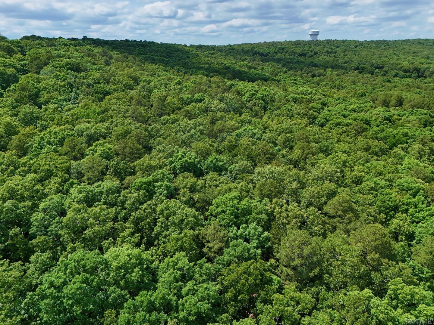 Photo 5 - Vacant Land for sale – Tract 4  Gap Road   Batesville, AR