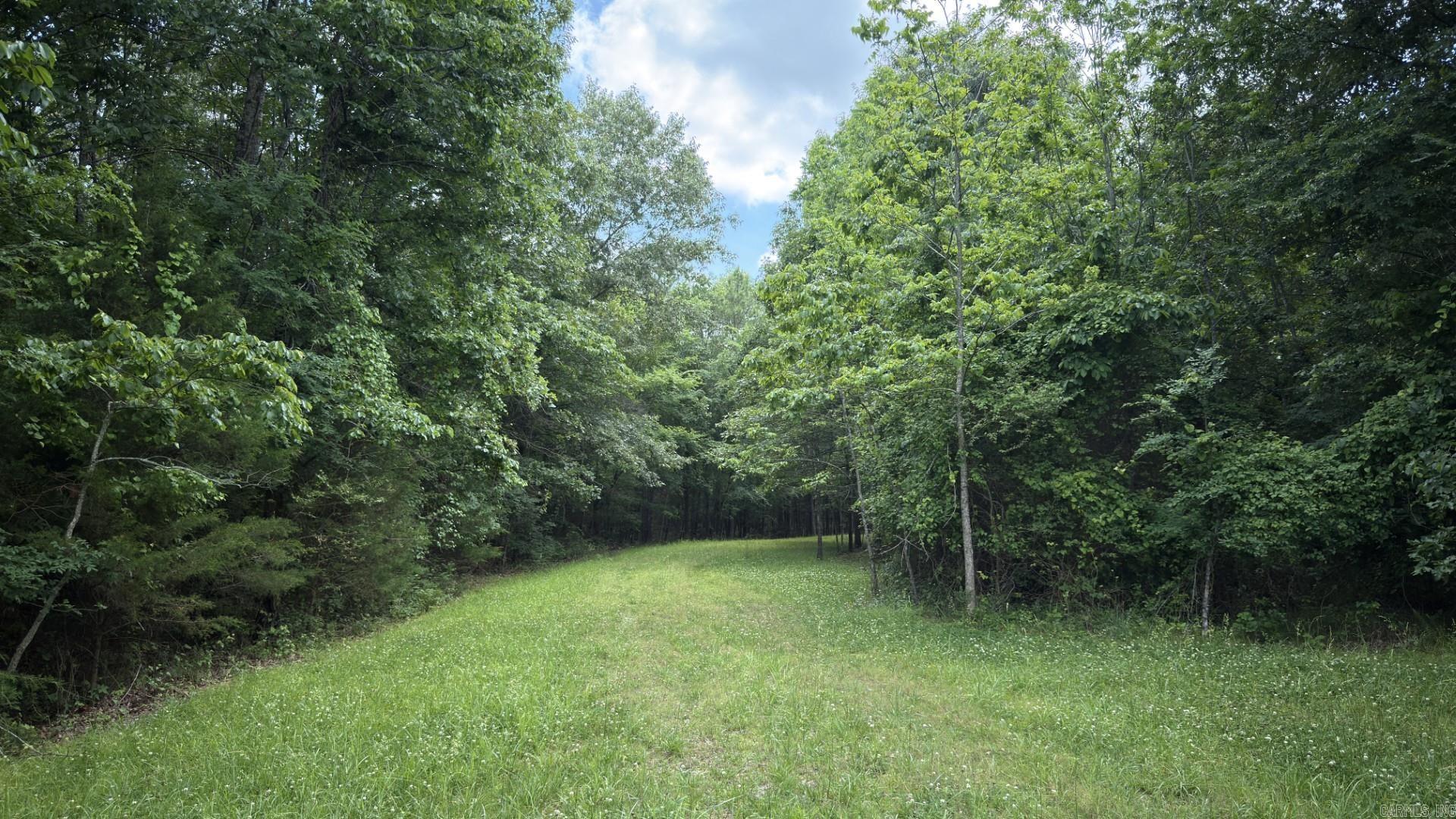 Photo 6 - Vacant Land for sale – Tract 4  Gap Road   Batesville, AR