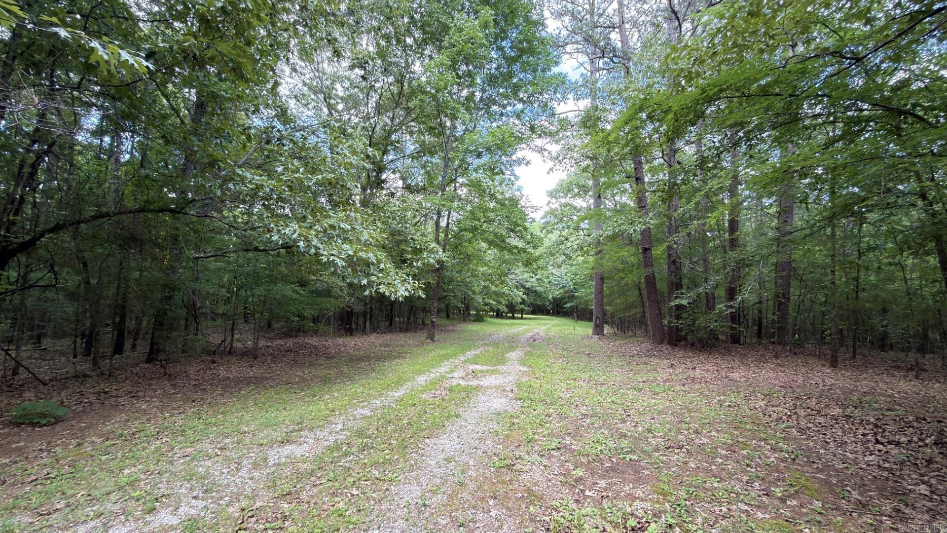 Photo 7 - Vacant Land for sale – Tract 4  Gap Road   Batesville, AR