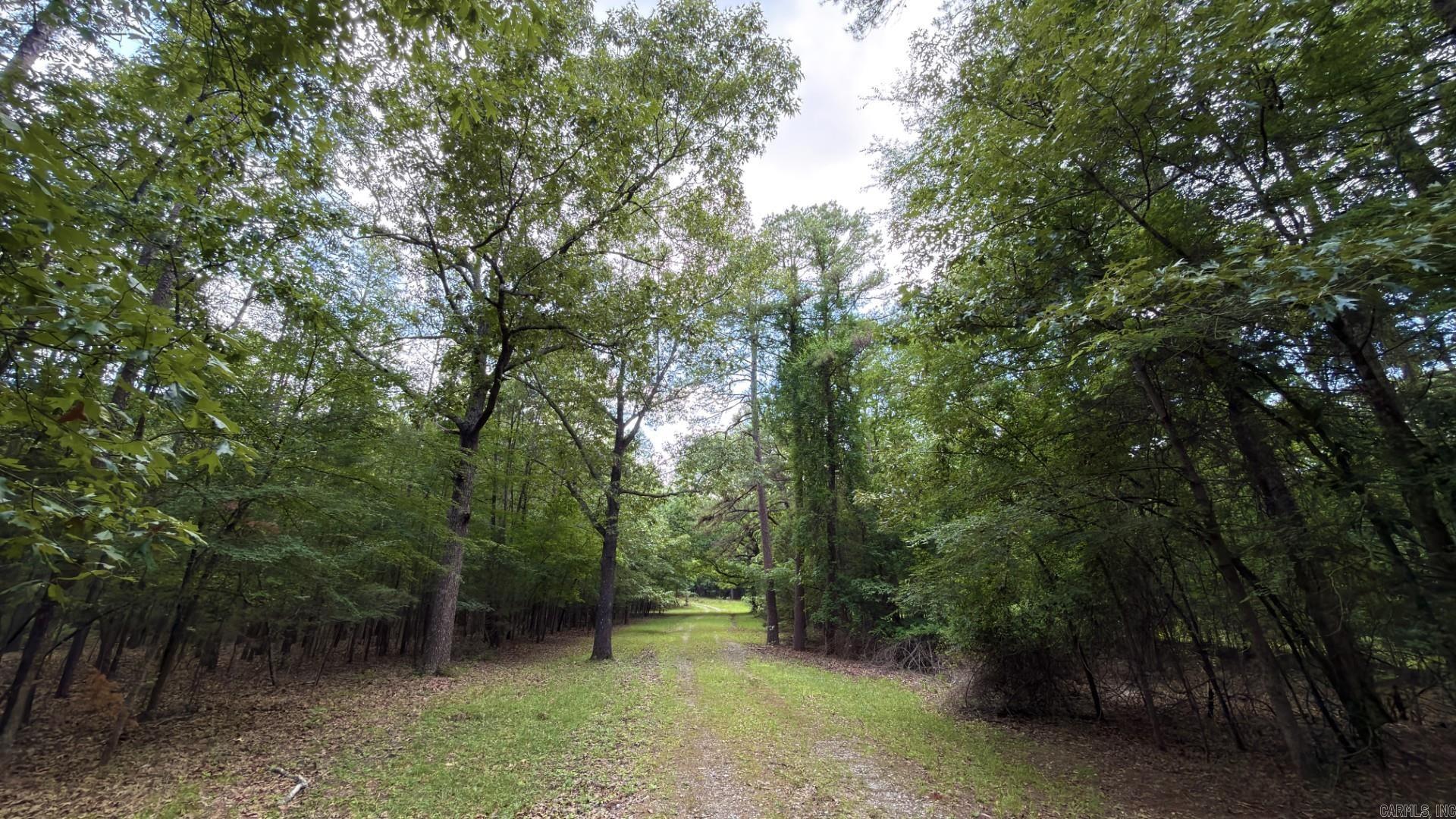 Photo 8 - Vacant Land for sale – Tract 4  Gap Road   Batesville, AR