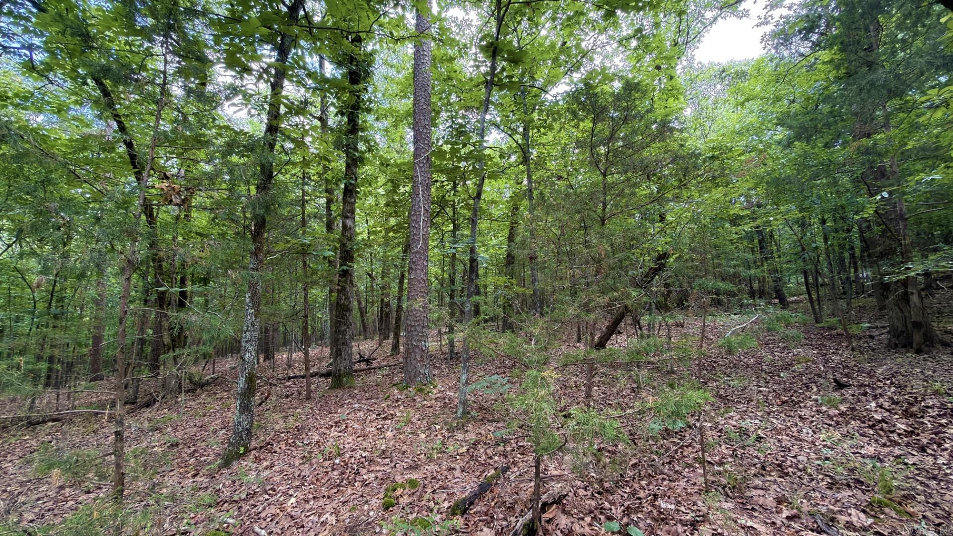Photo 9 - Vacant Land for sale – Tract 4  Gap Road   Batesville, AR