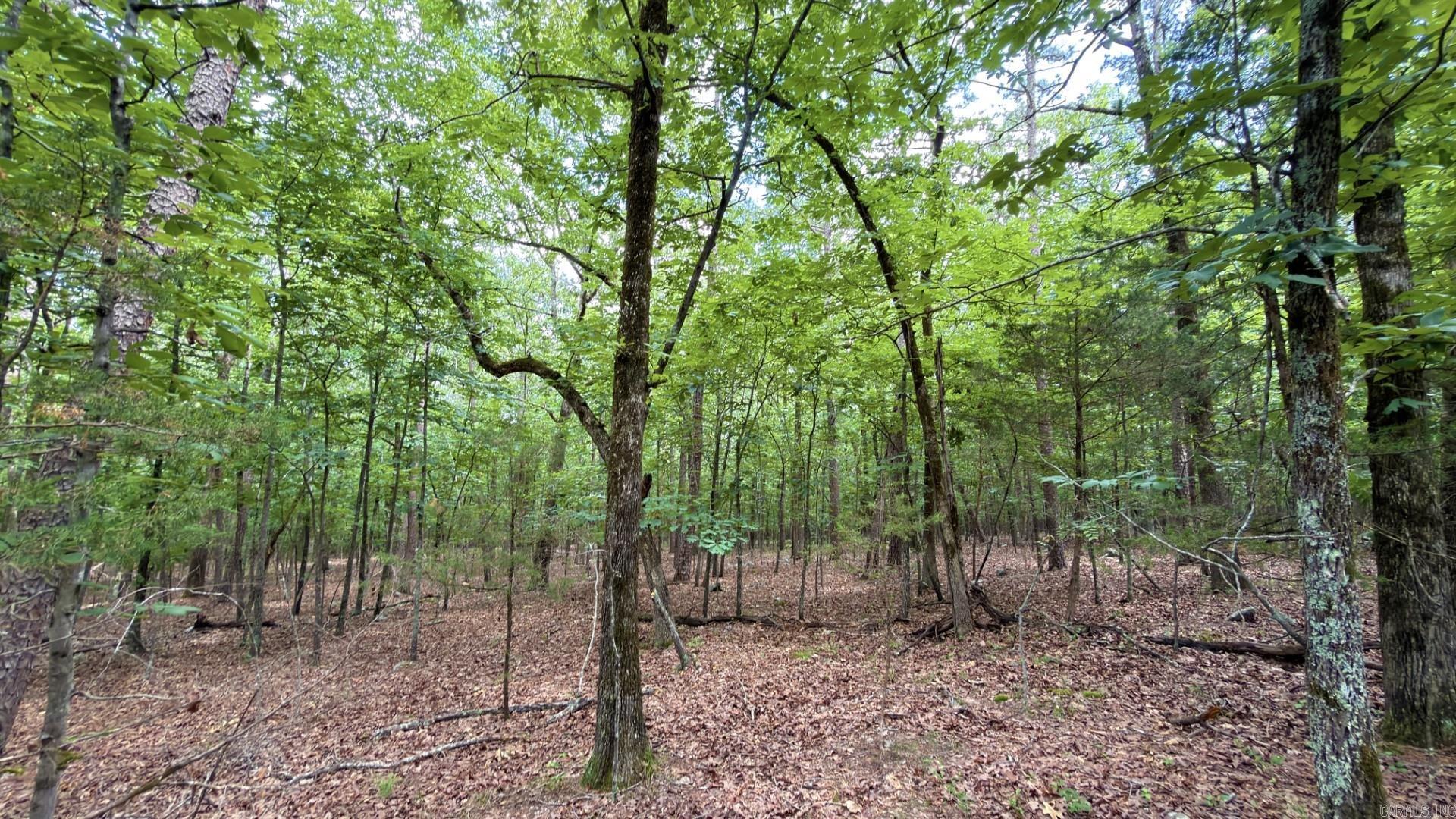 Photo 10 - Vacant Land for sale – Tract 4  Gap Road   Batesville, AR