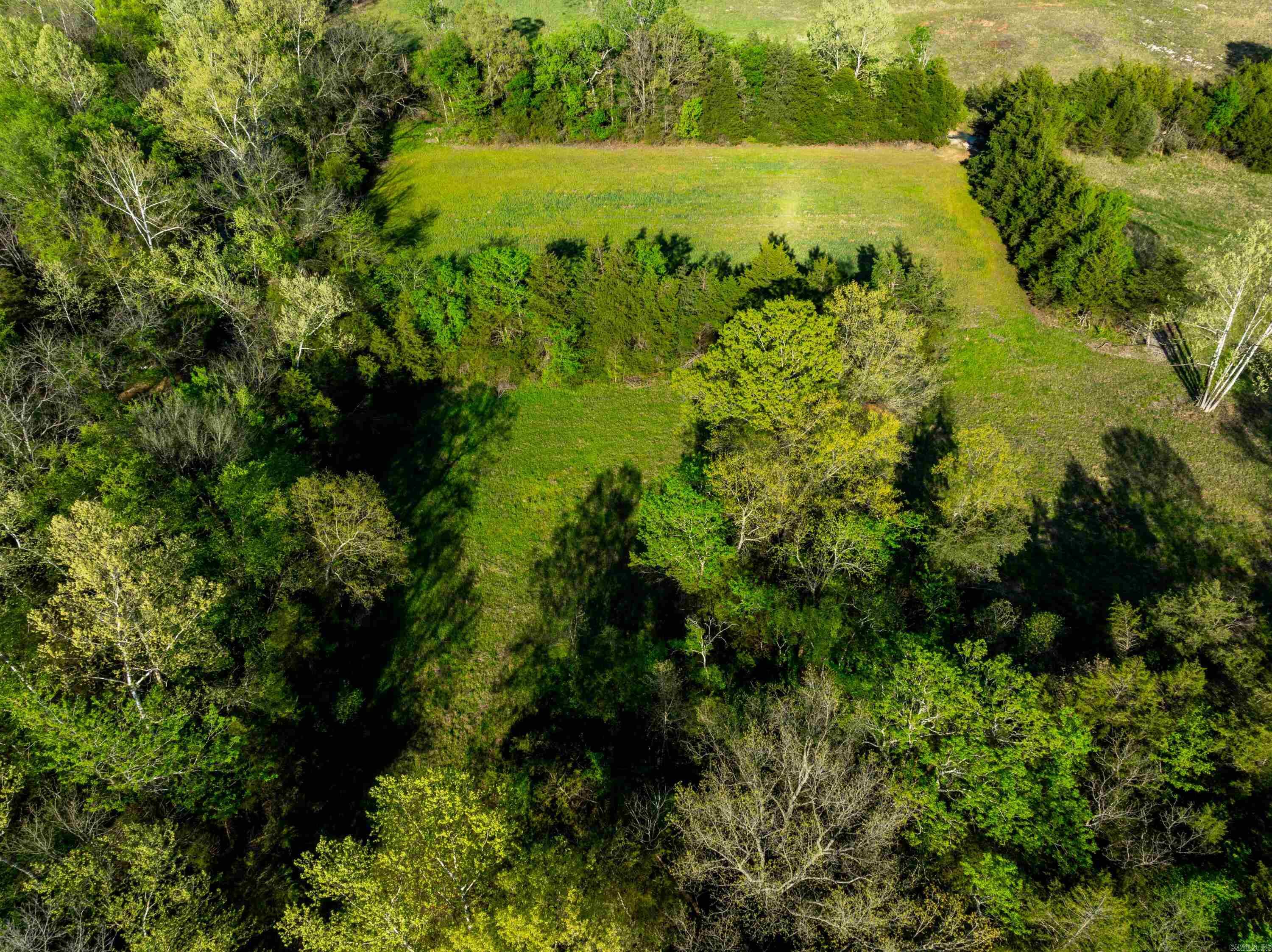 Photo 5 - Vacant Land for sale – 3828  HWY 56   Evening Shade, AR