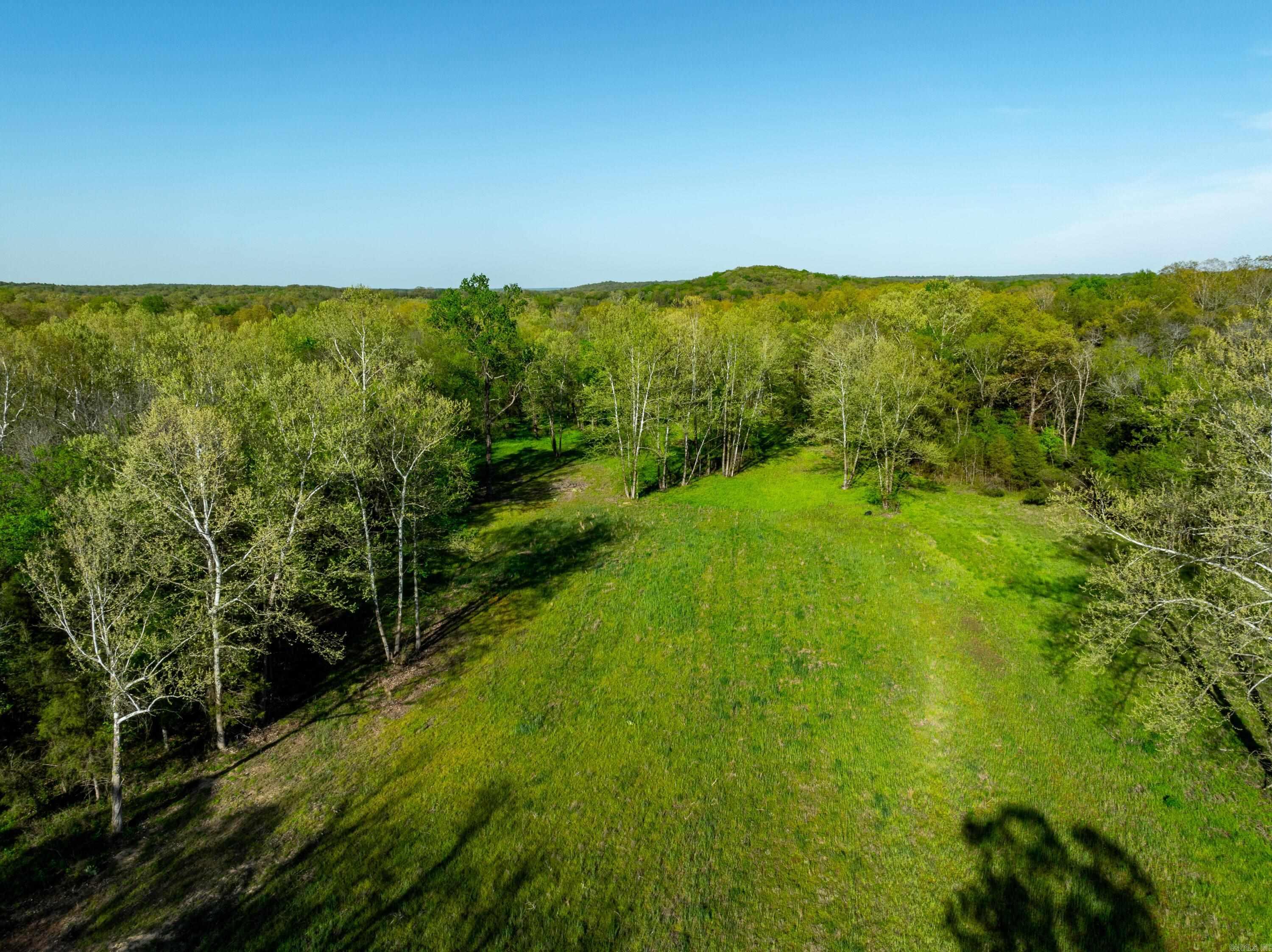 Photo 6 - Vacant Land for sale – 3828  HWY 56   Evening Shade, AR