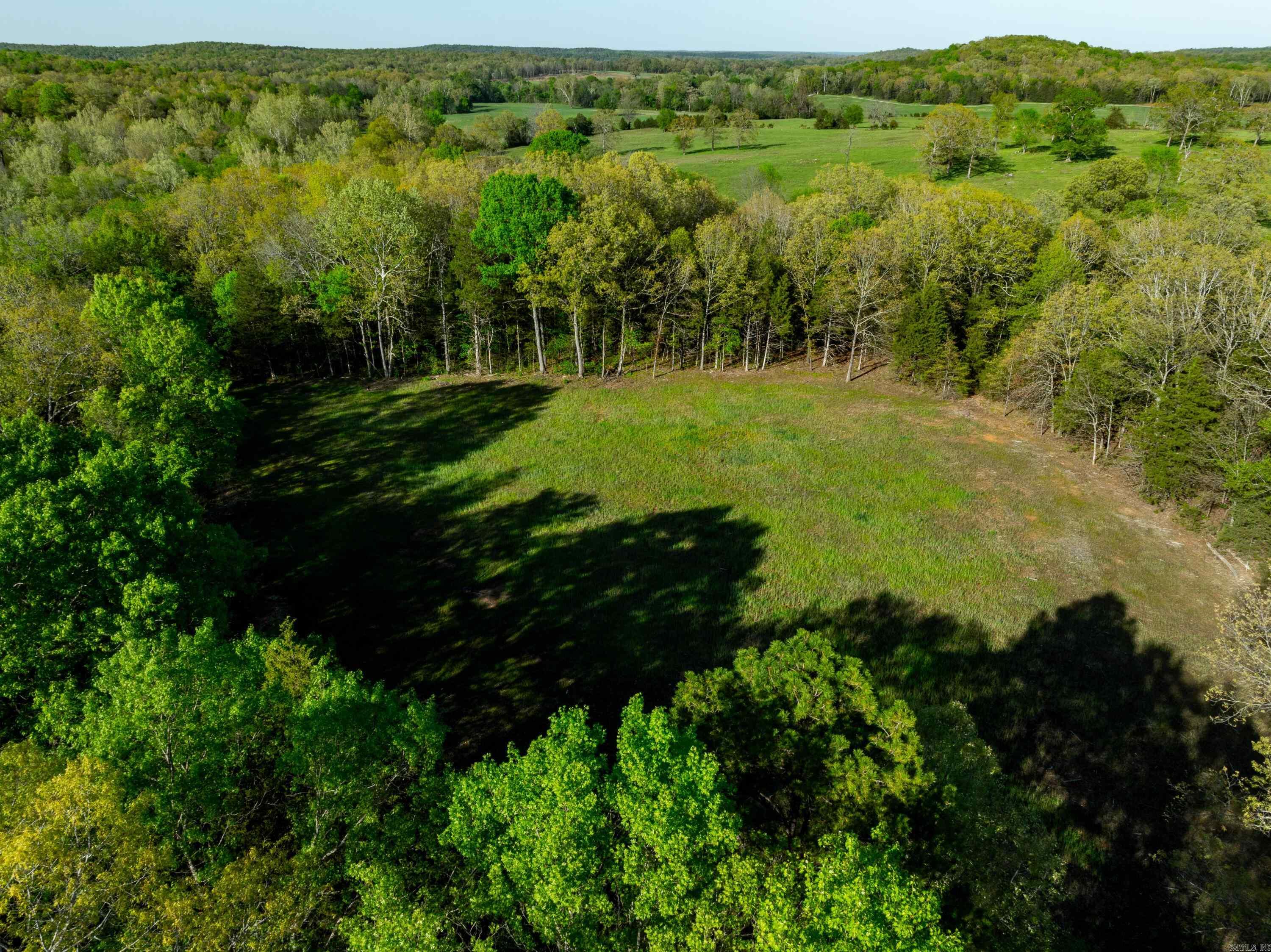 Photo 7 - Vacant Land for sale – 3828  HWY 56   Evening Shade, AR