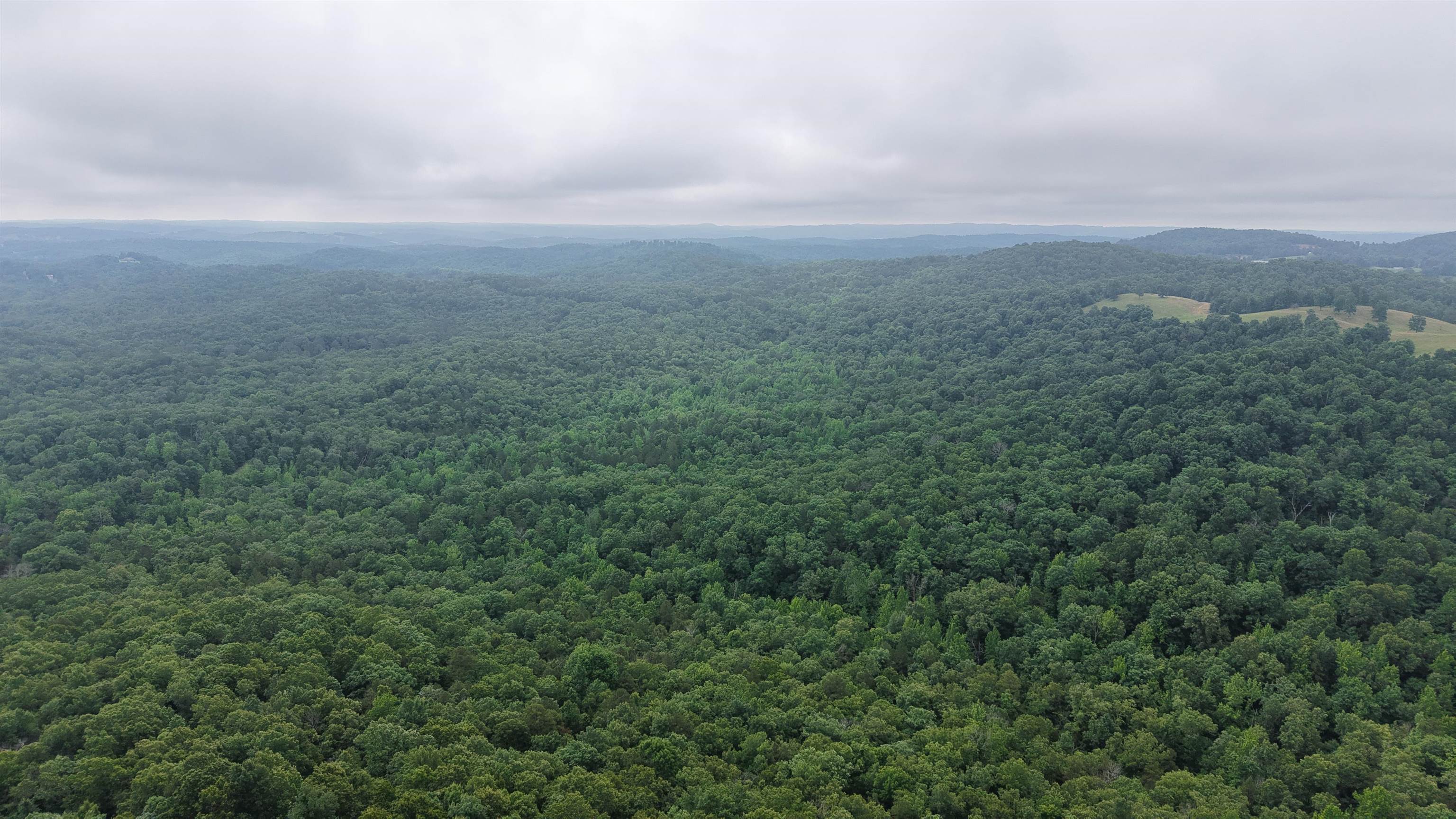 Photo 14 - Vacant Land for sale – 120  Cr 23   Melbourne, AR