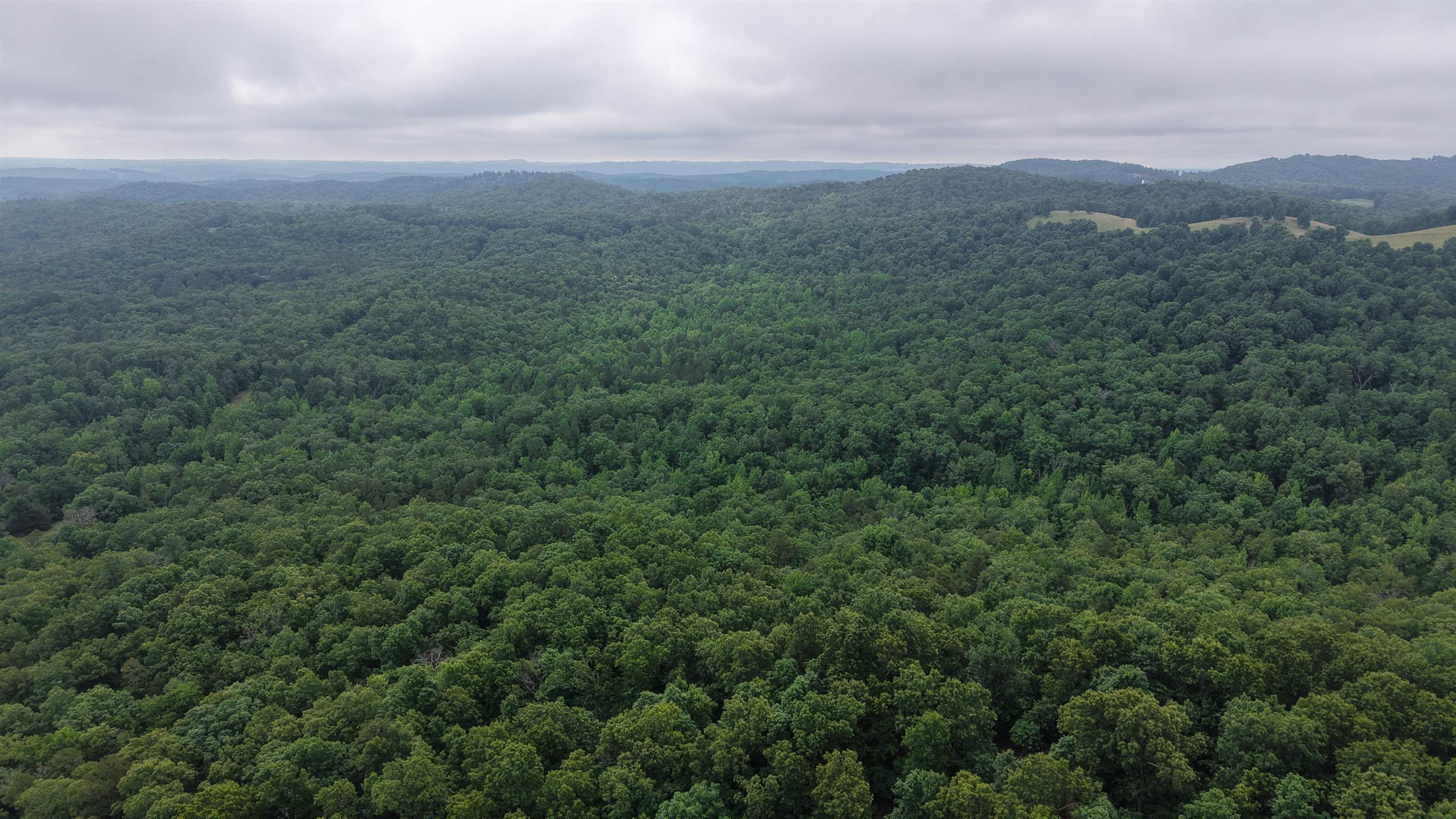 Photo 15 - Vacant Land for sale – 120  Cr 23   Melbourne, AR