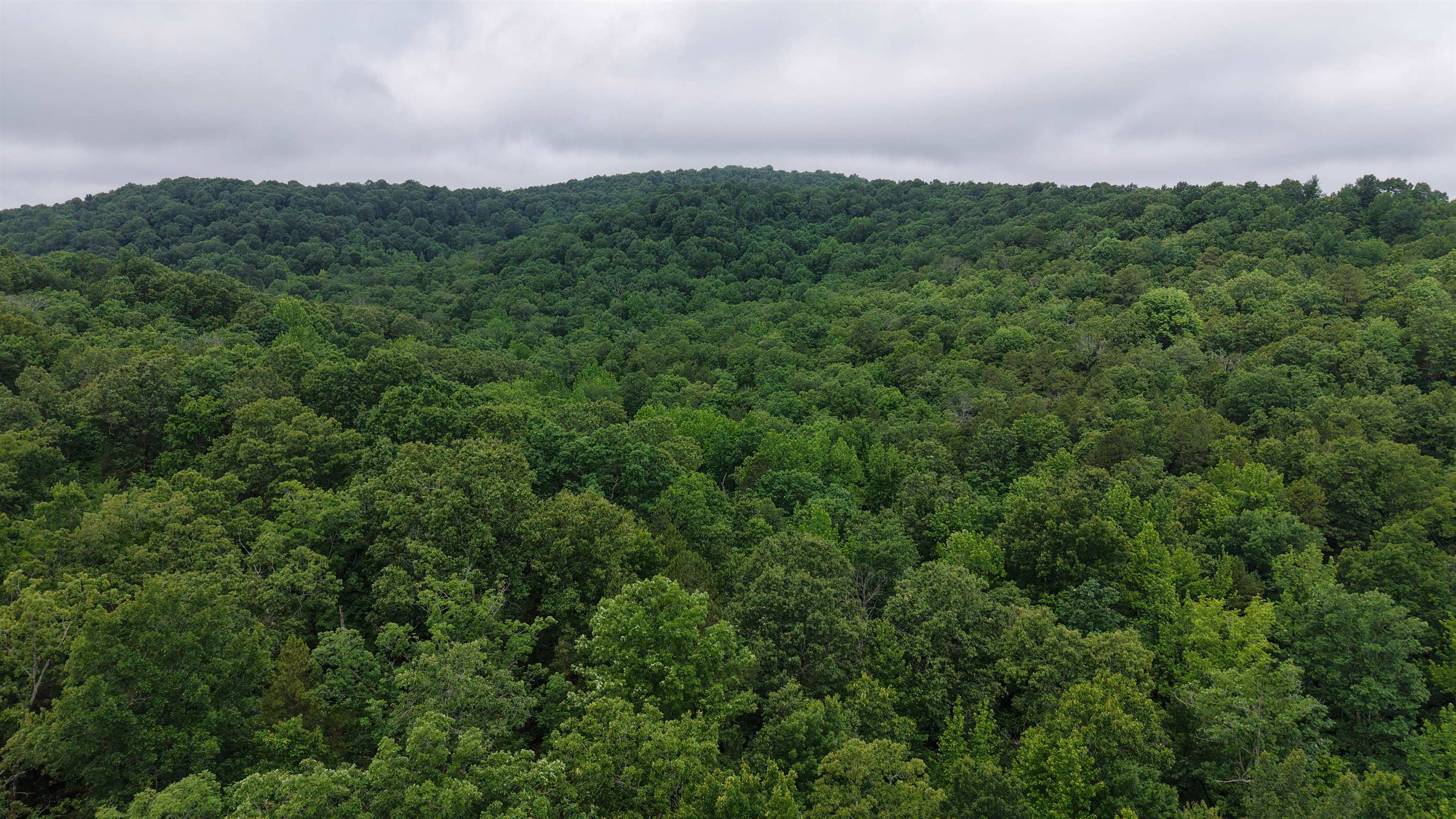 Photo 16 - Vacant Land for sale – 120  Cr 23   Melbourne, AR