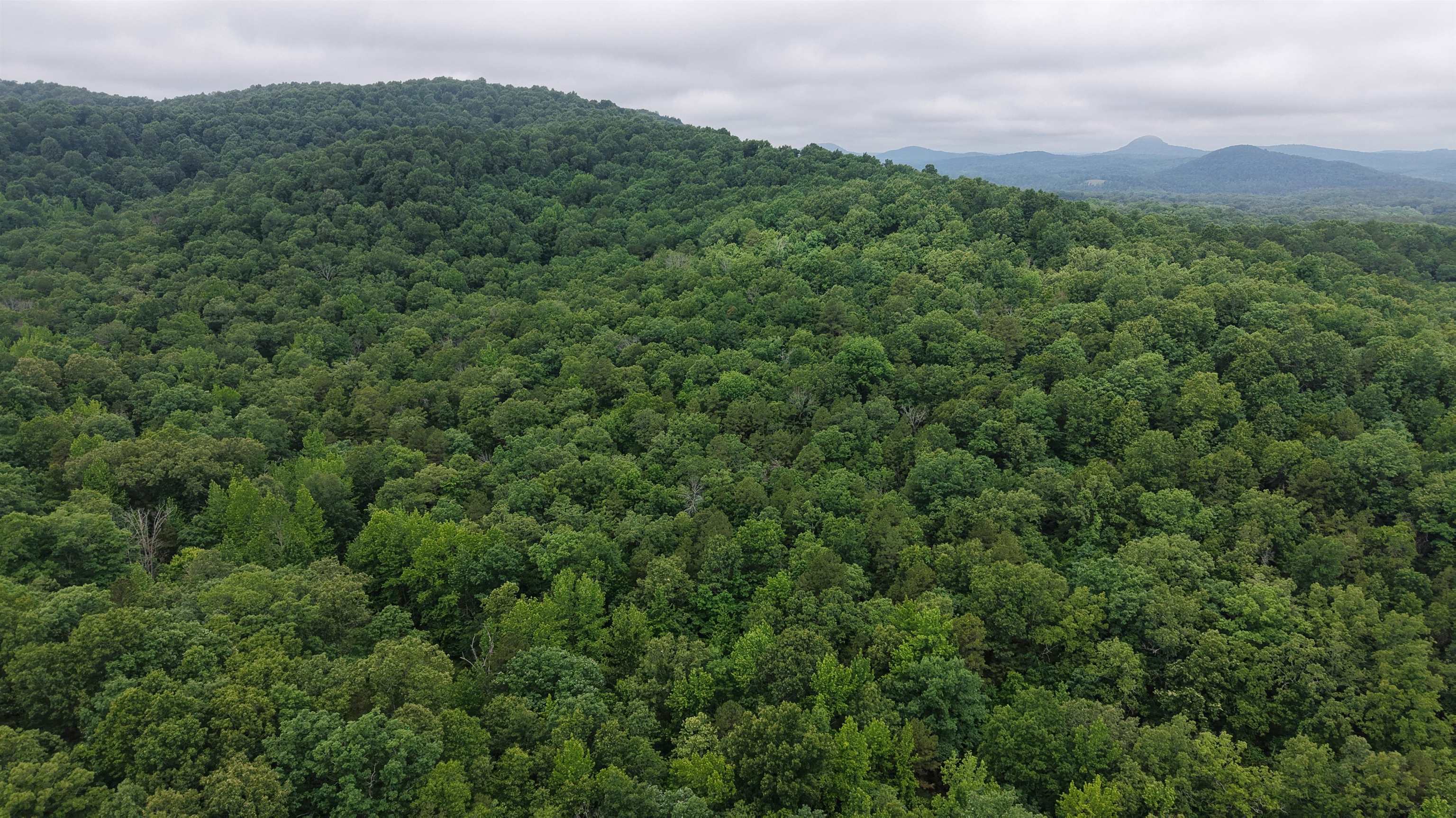 Photo 17 - Vacant Land for sale – 120  Cr 23   Melbourne, AR