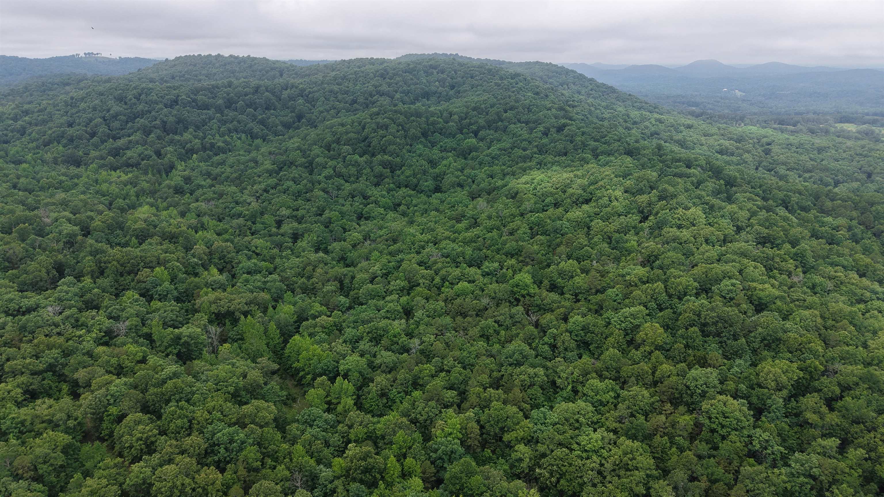 Photo 18 - Vacant Land for sale – 120  Cr 23   Melbourne, AR
