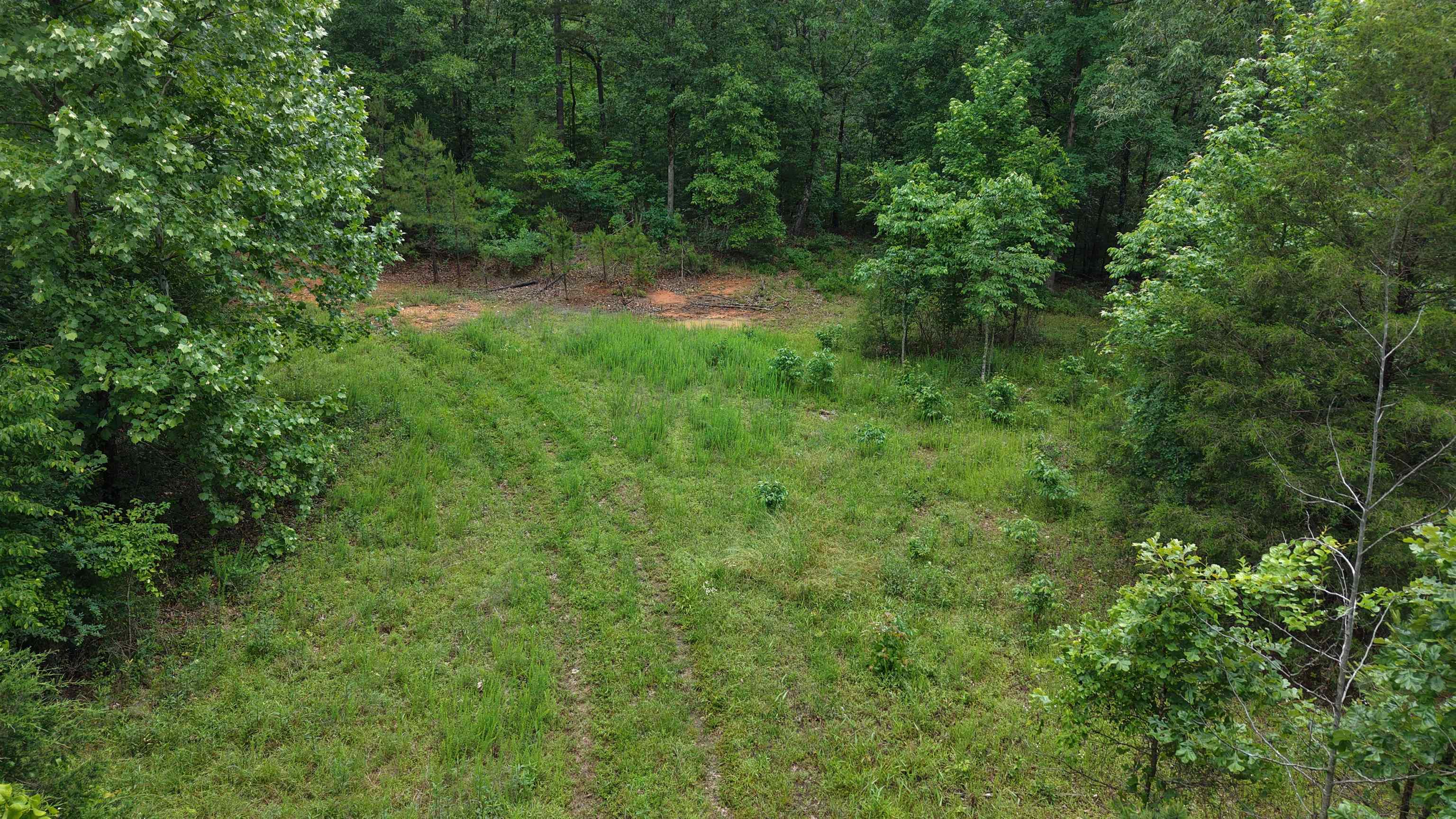 Photo 19 - Vacant Land for sale – 120  Cr 23   Melbourne, AR