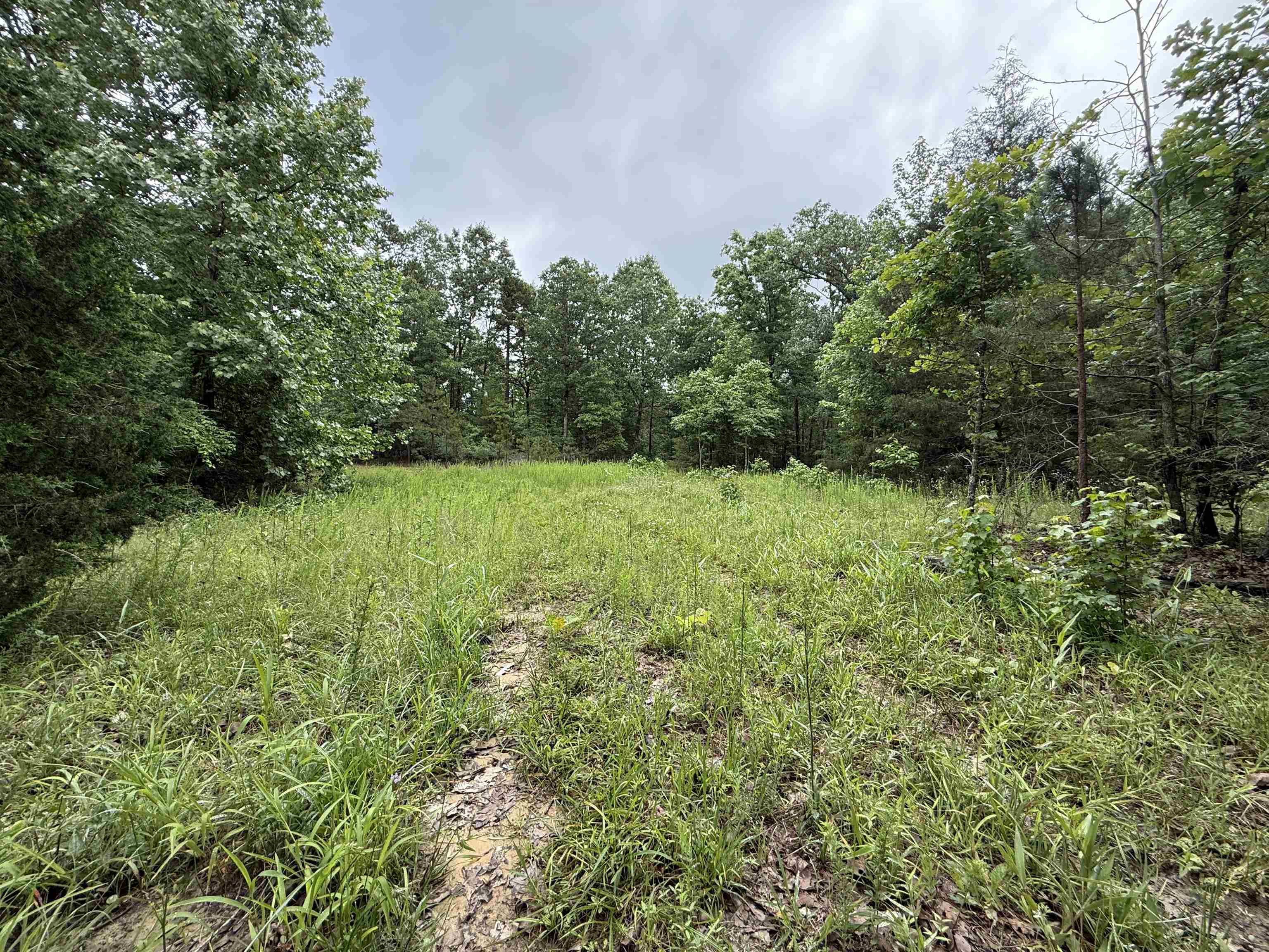 Photo 20 - Vacant Land for sale – 120  Cr 23   Melbourne, AR