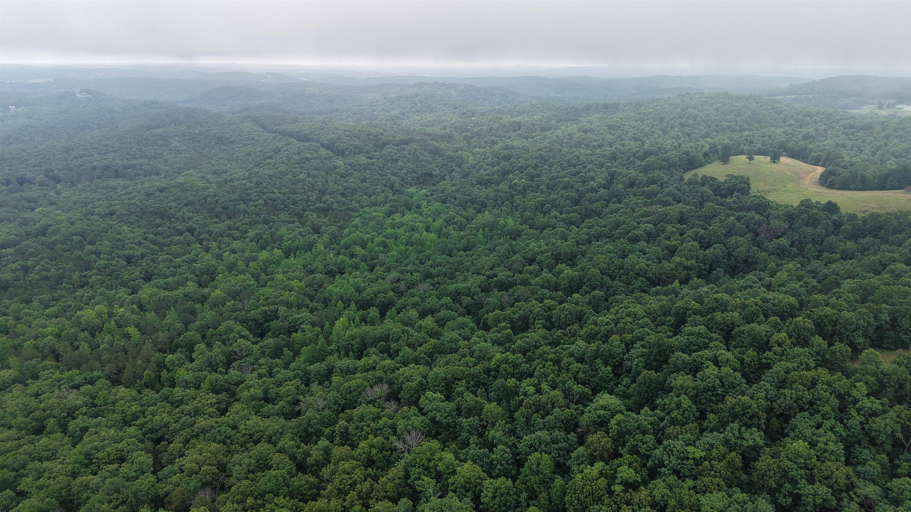 Photo 3 - Vacant Land for sale – 120  Cr 23   Melbourne, AR