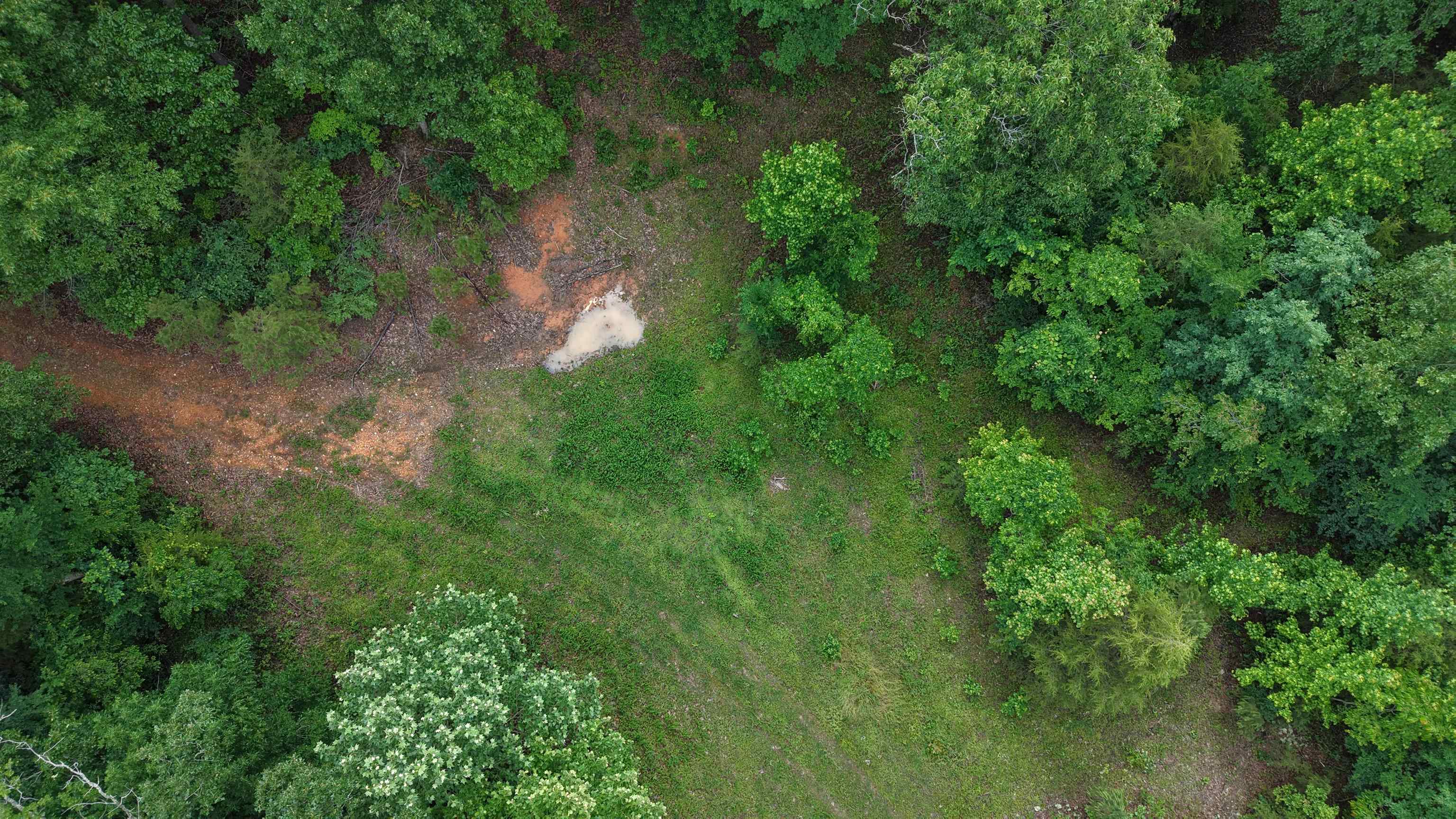 Photo 21 - Vacant Land for sale – 120  Cr 23   Melbourne, AR