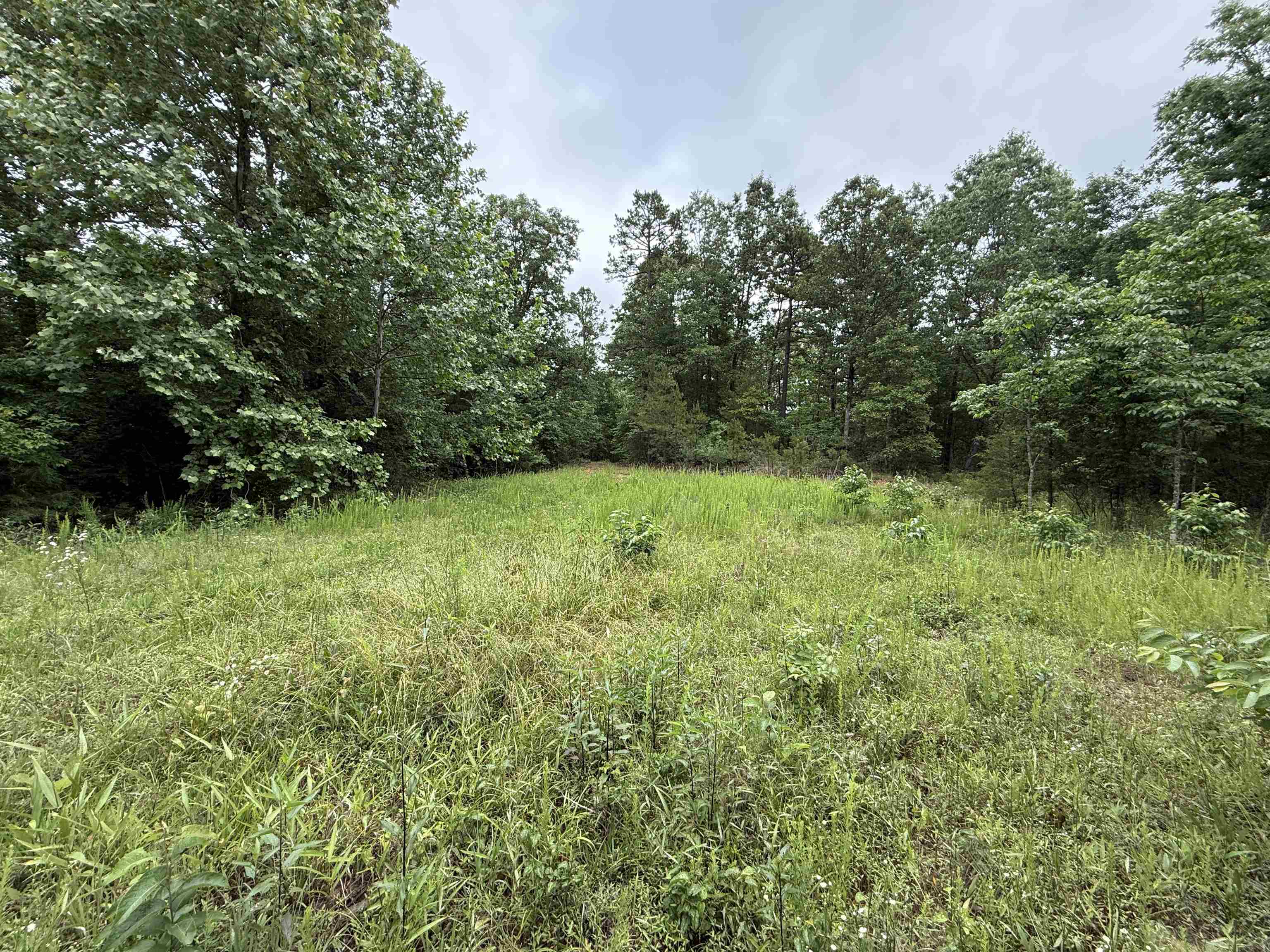 Photo 22 - Vacant Land for sale – 120  Cr 23   Melbourne, AR