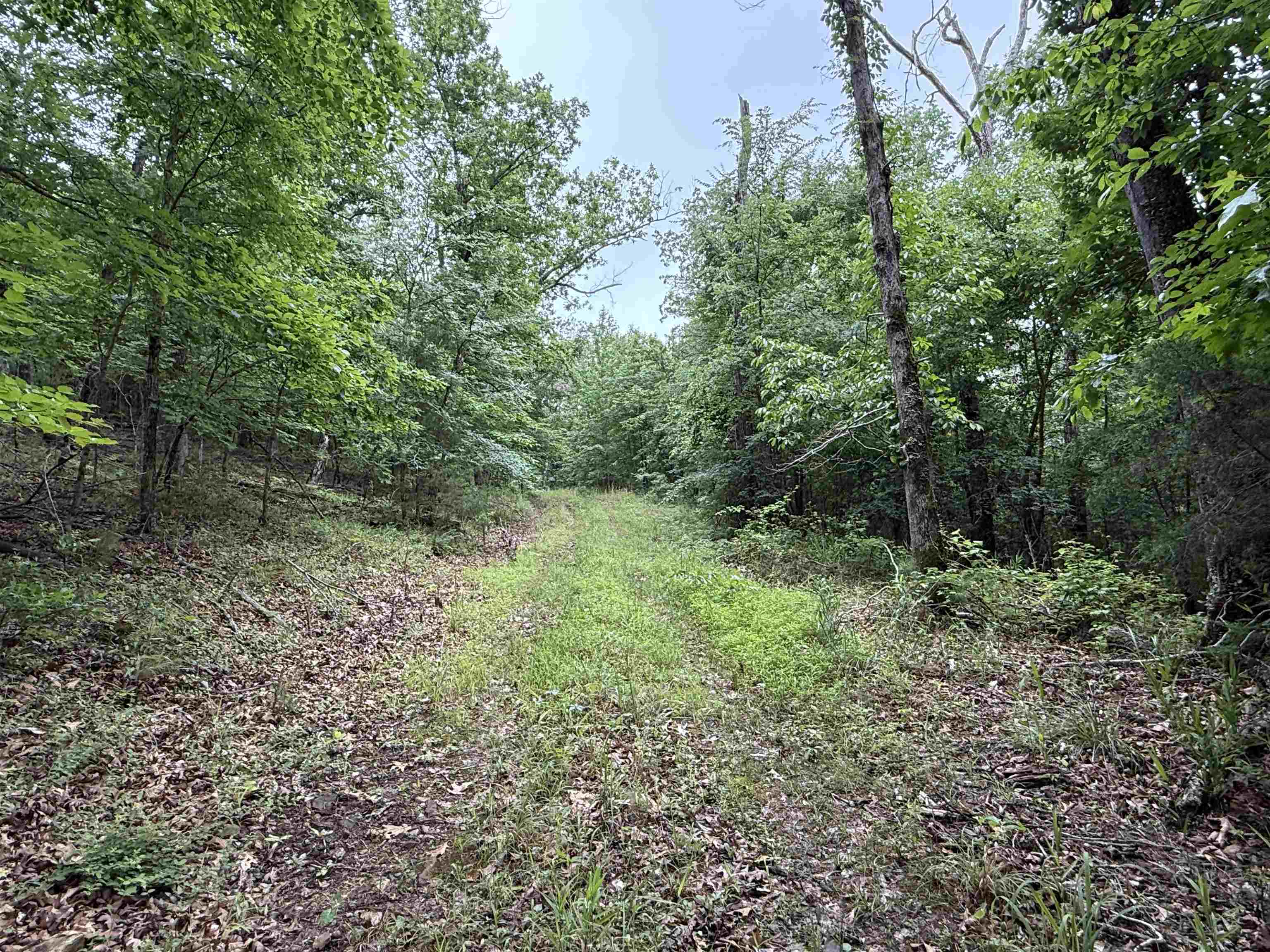 Photo 23 - Vacant Land for sale – 120  Cr 23   Melbourne, AR