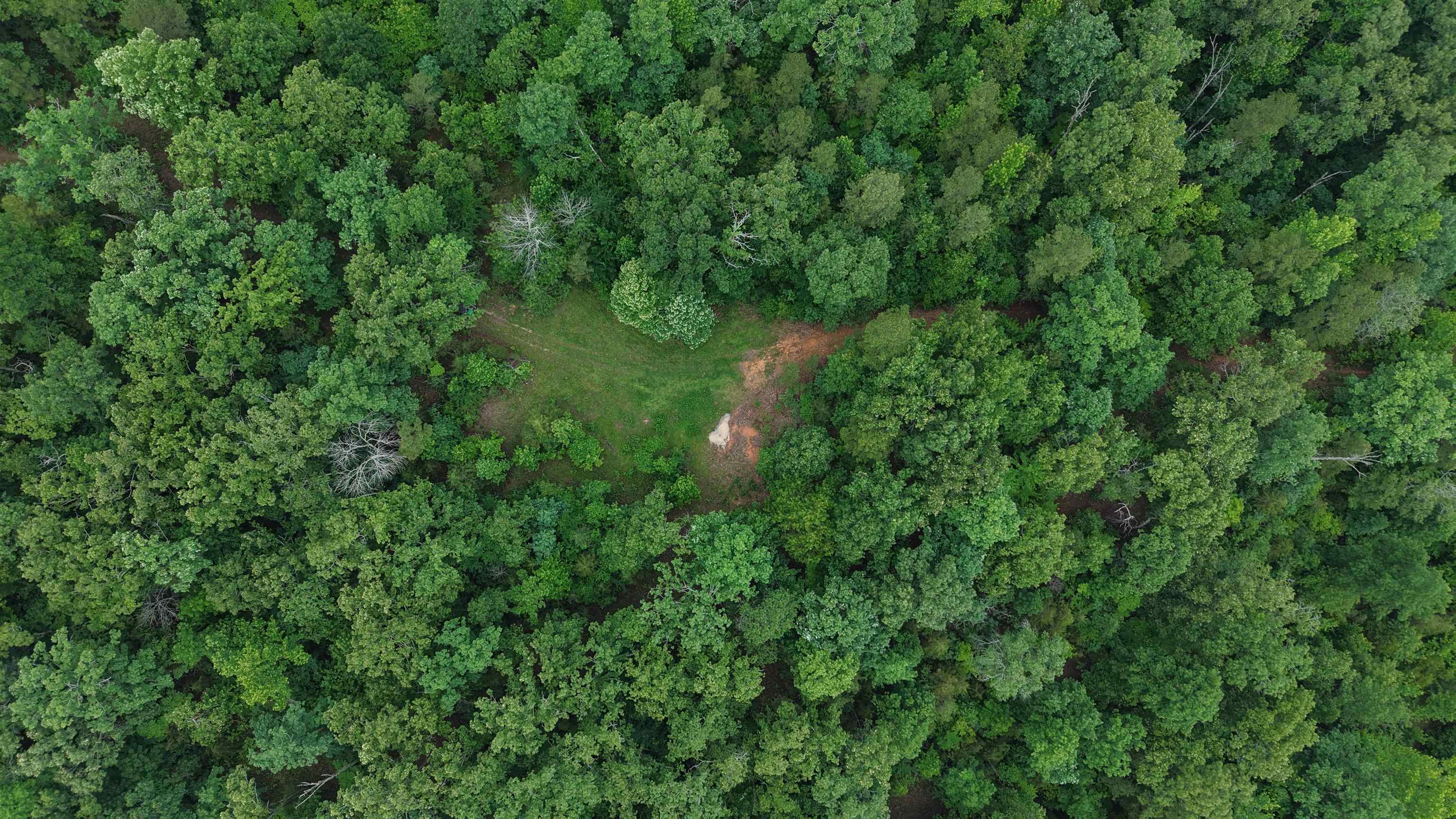 Photo 6 - Vacant Land for sale – 120  Cr 23   Melbourne, AR