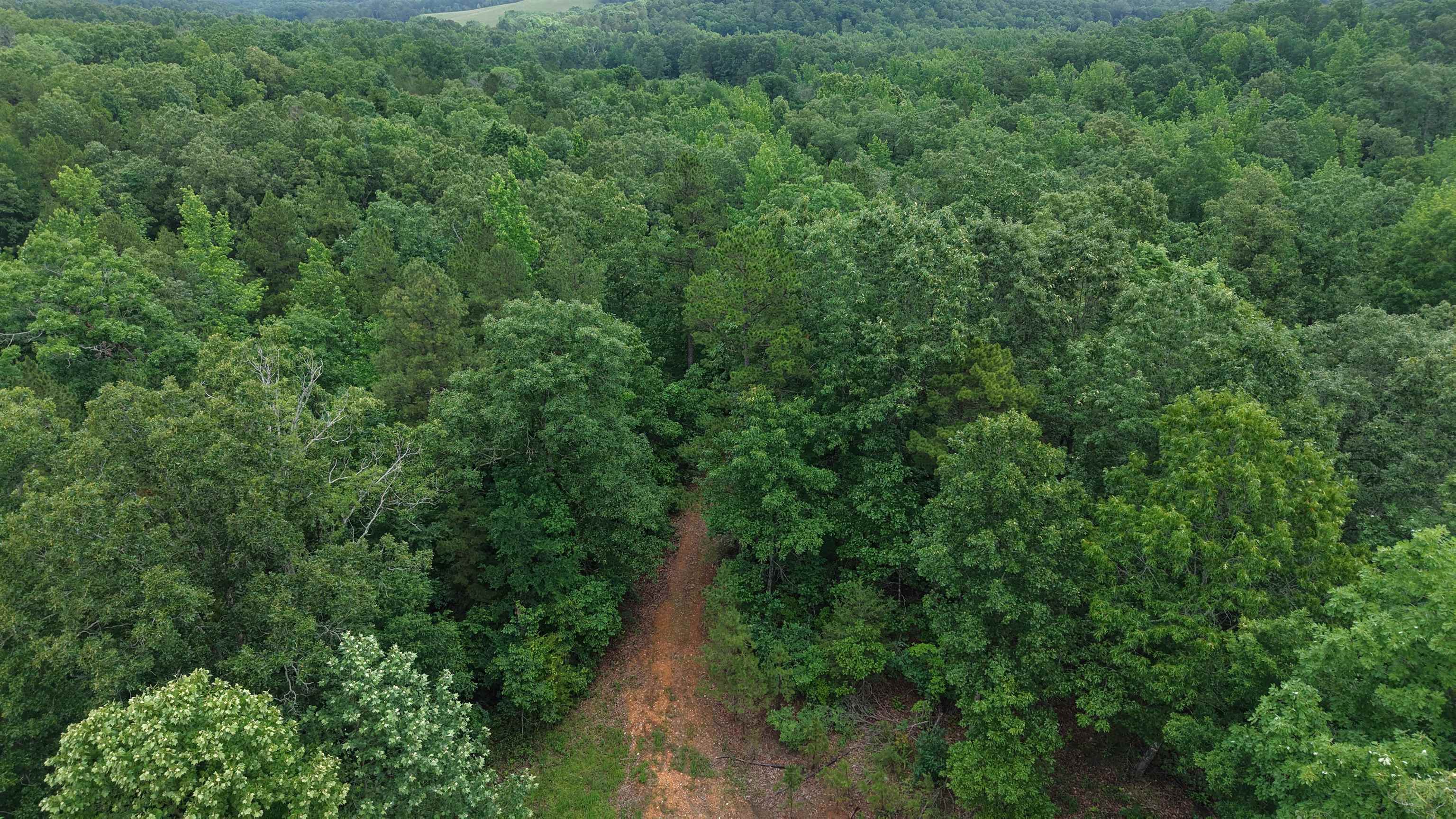 Photo 7 - Vacant Land for sale – 120  Cr 23   Melbourne, AR