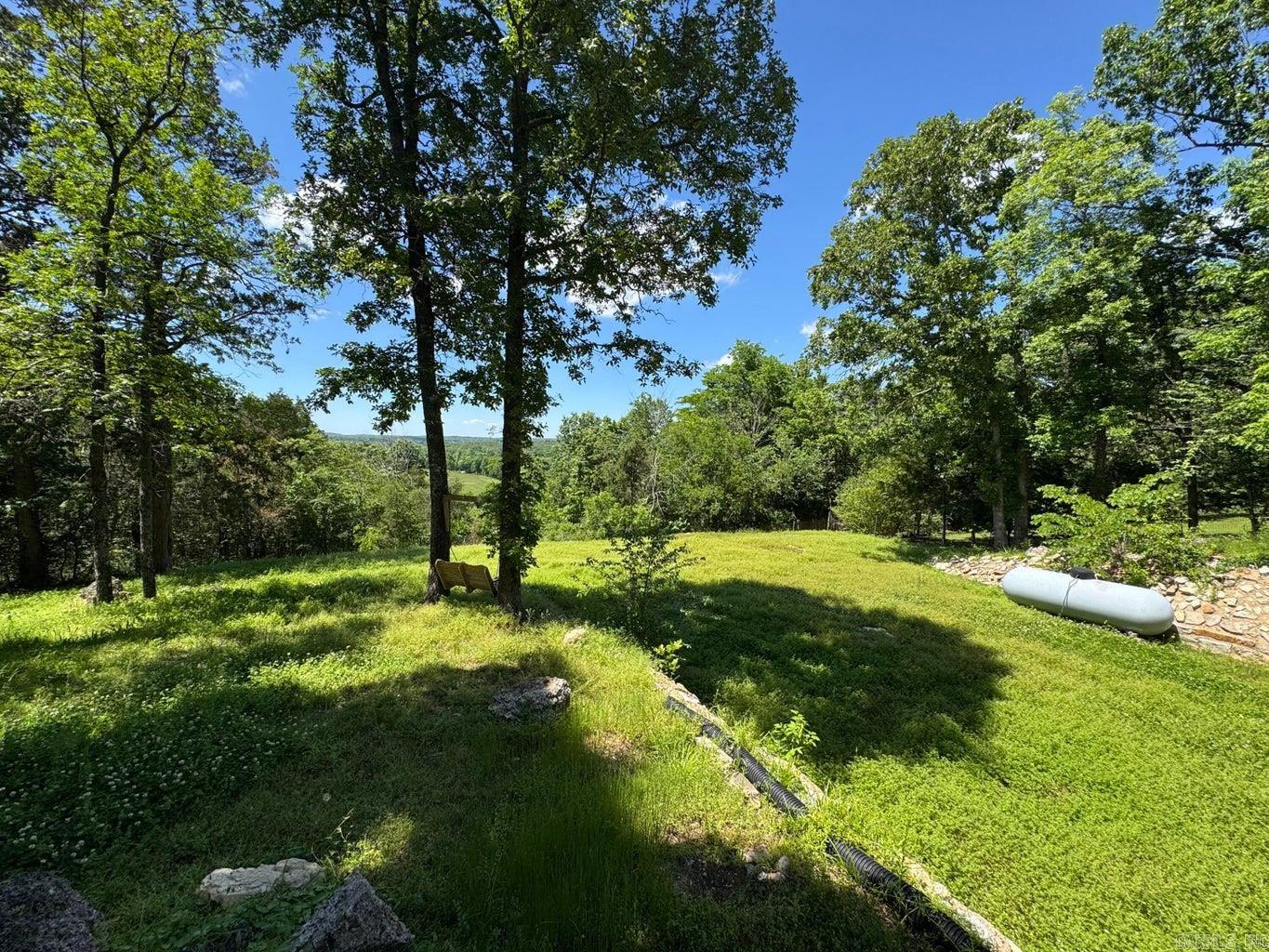 Photo 48 - Residential for sale – 1323  Riverview   Horseshoe Bend, AR