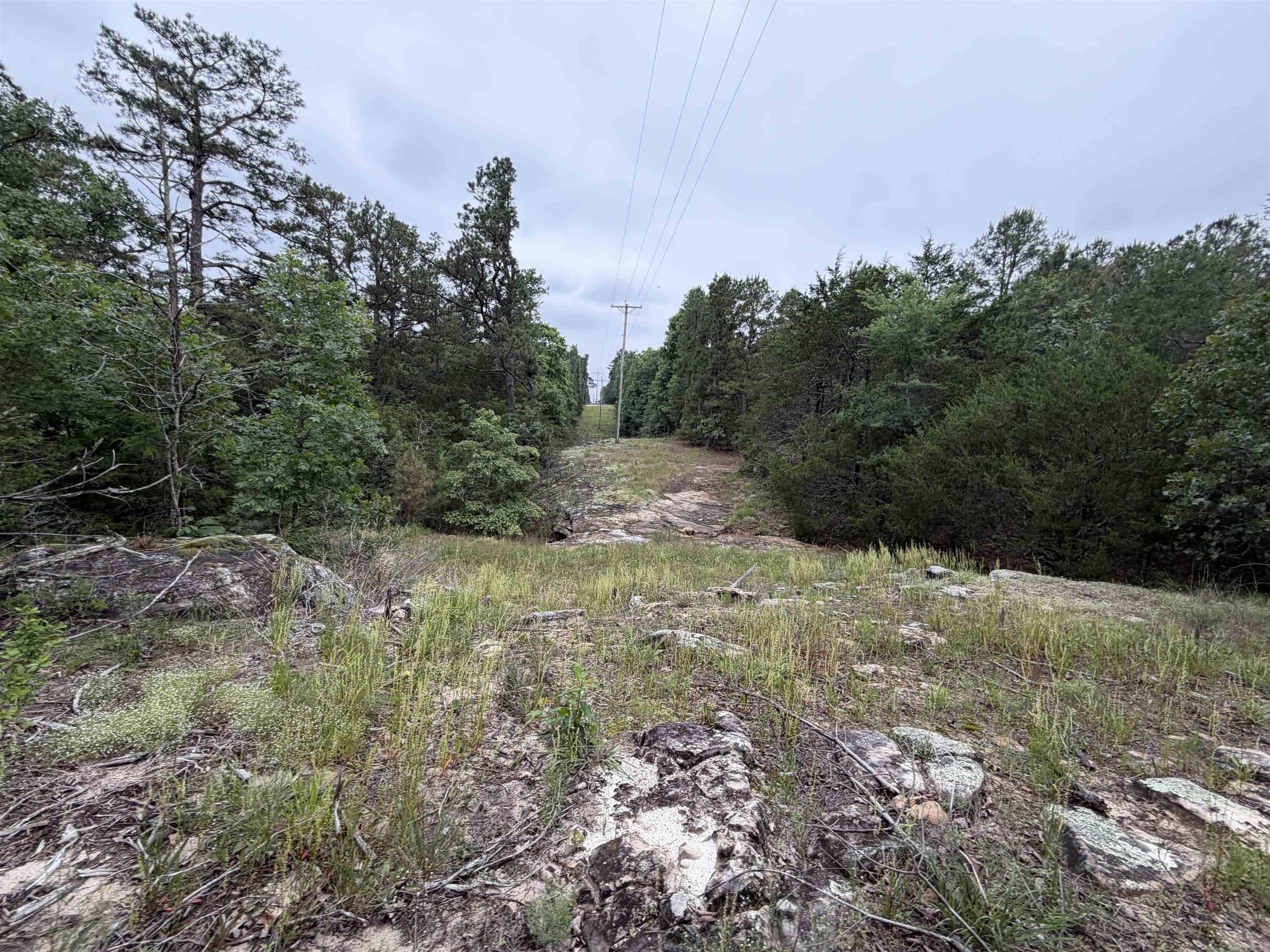 Vacant Land for sale – 1031  Old Dolph Road   Calico Rock, AR