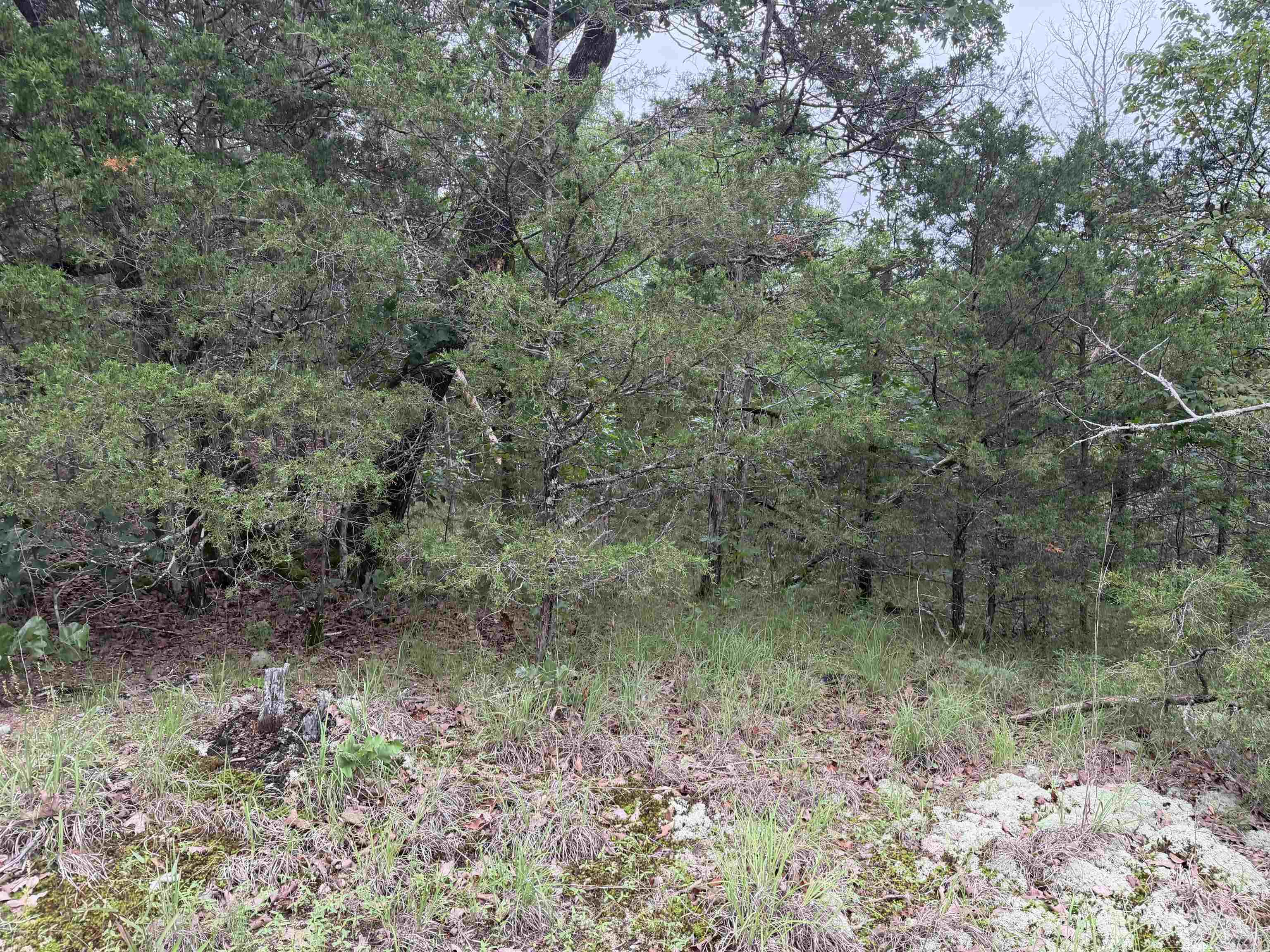 Photo 2 - Vacant Land for sale – 1031  Old Dolph Road   Calico Rock, AR