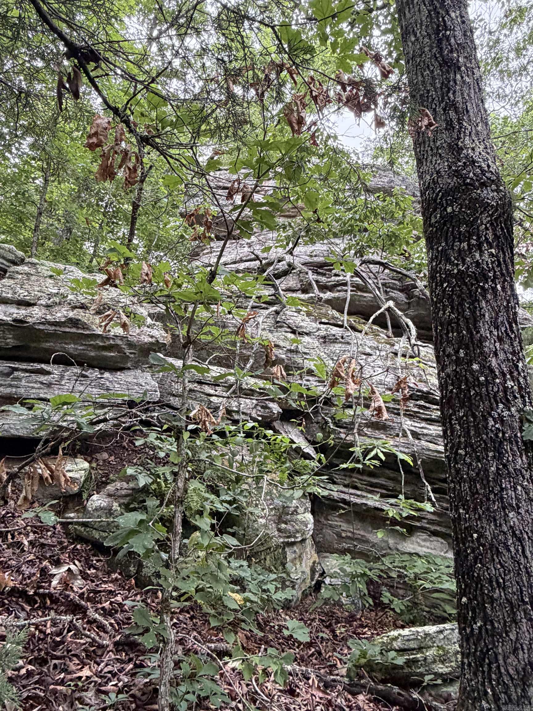 Photo 11 - Vacant Land for sale – 1031  Old Dolph Road   Calico Rock, AR