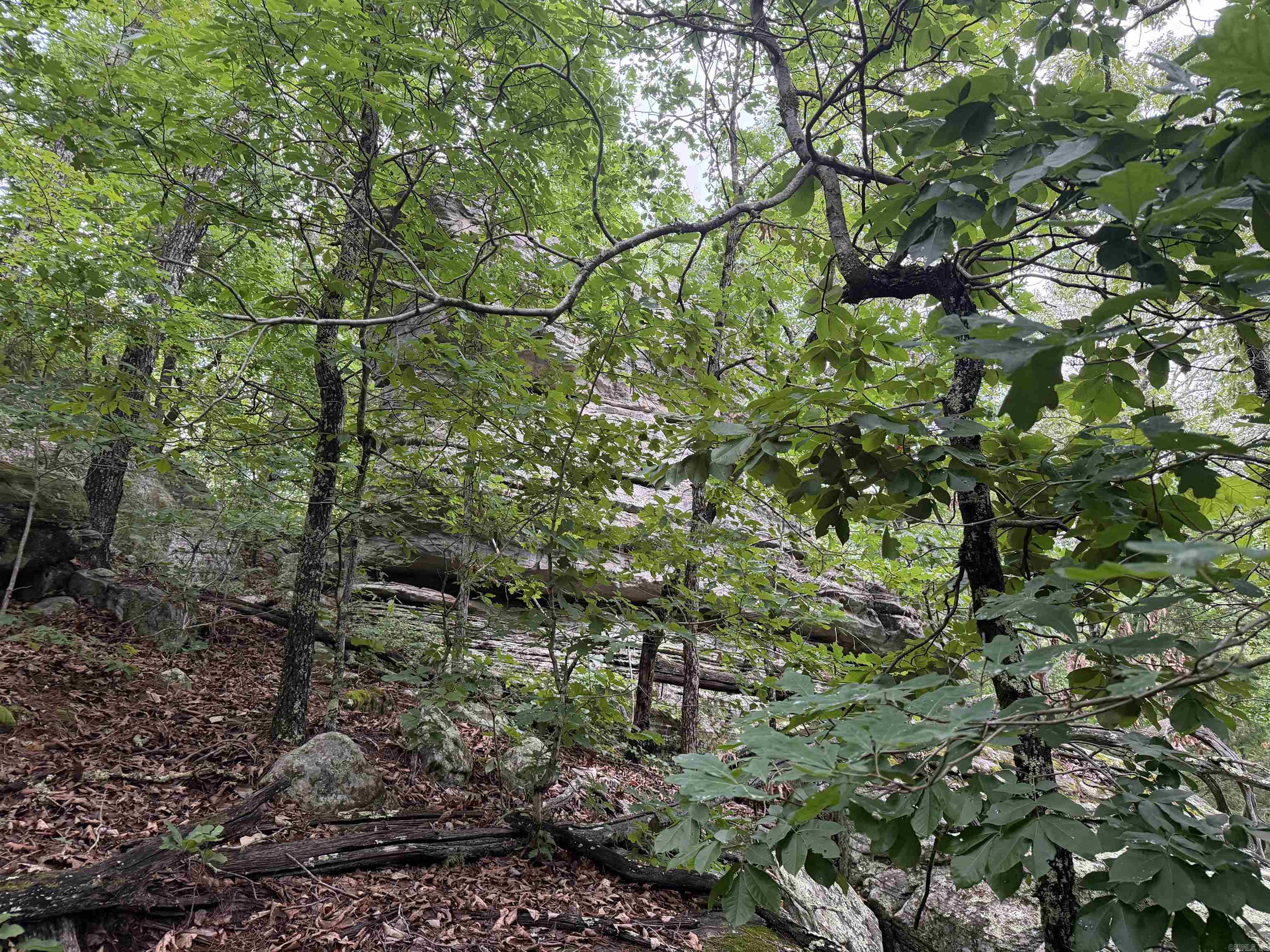 Photo 12 - Vacant Land for sale – 1031  Old Dolph Road   Calico Rock, AR