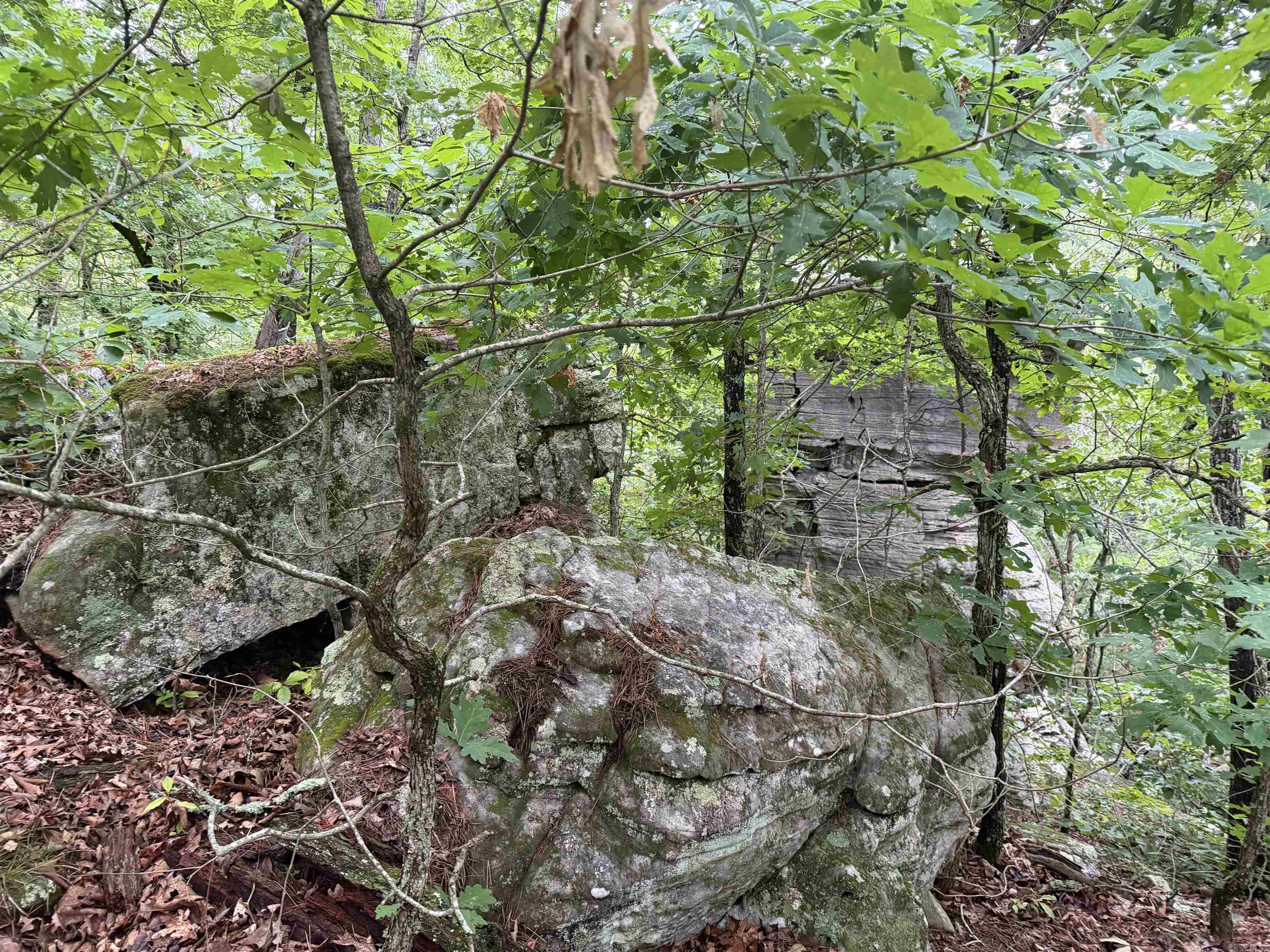 Photo 13 - Vacant Land for sale – 1031  Old Dolph Road   Calico Rock, AR
