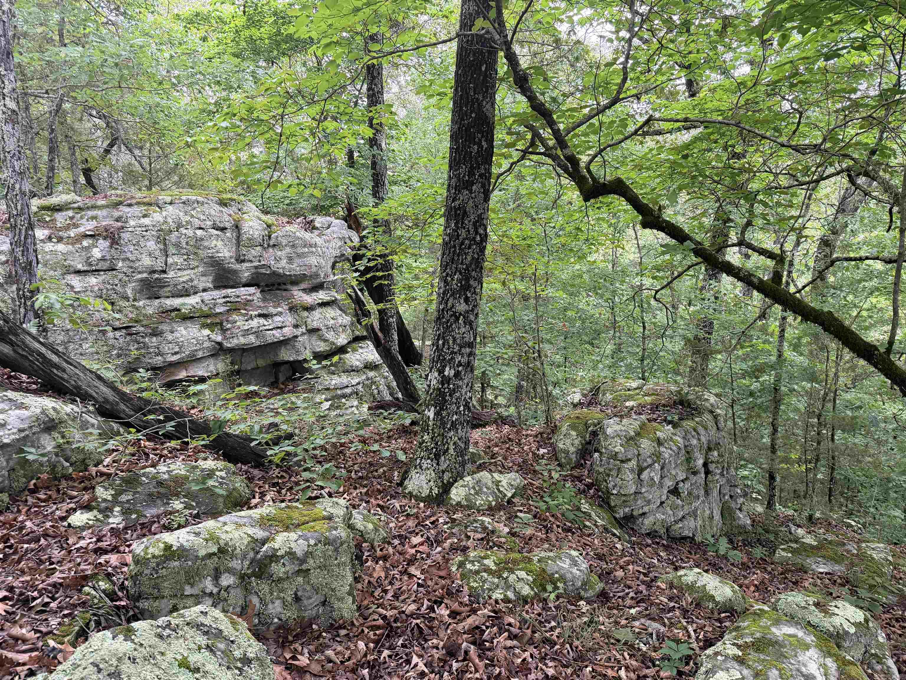 Photo 14 - Vacant Land for sale – 1031  Old Dolph Road   Calico Rock, AR