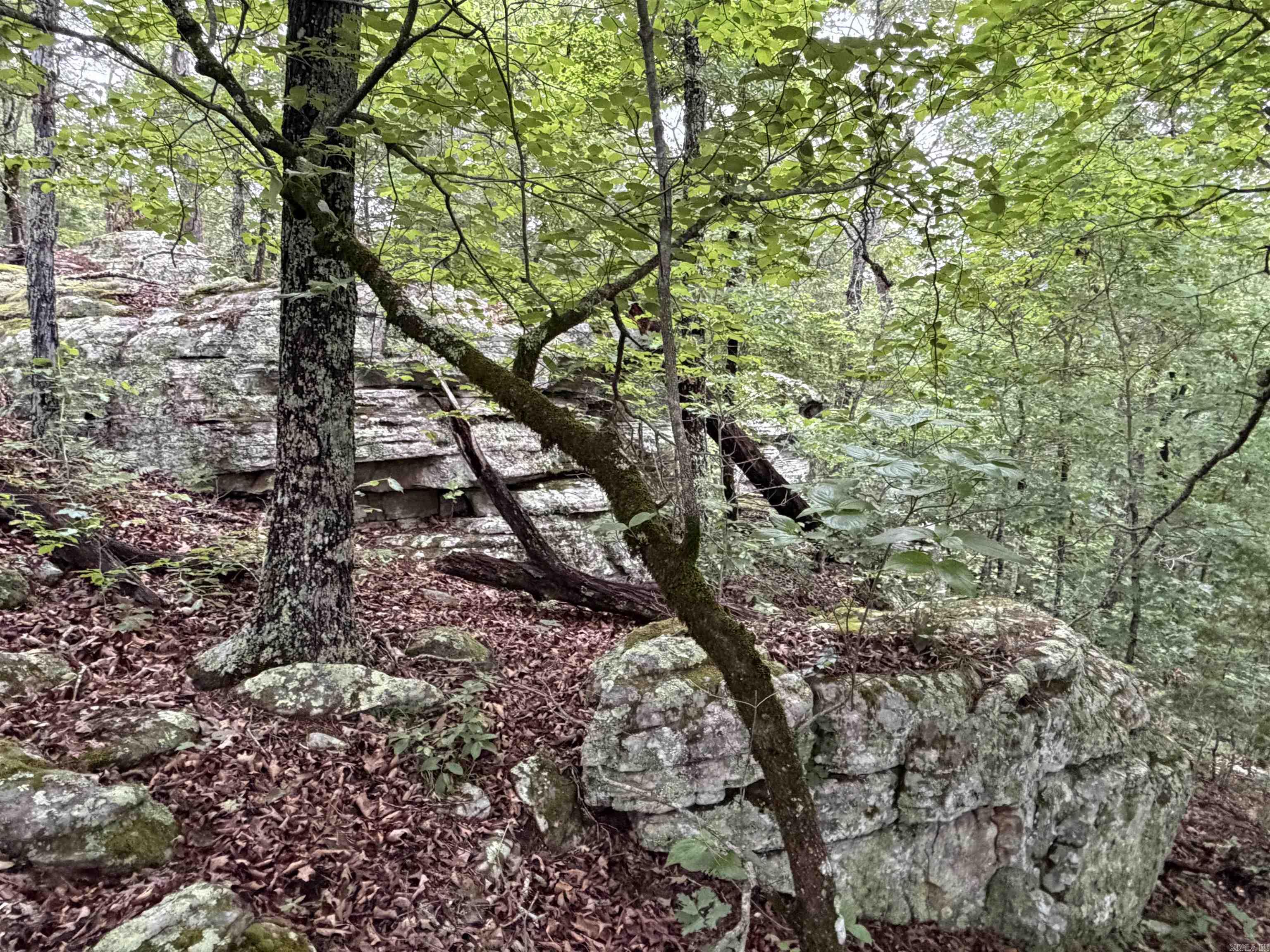 Photo 17 - Vacant Land for sale – 1031  Old Dolph Road   Calico Rock, AR