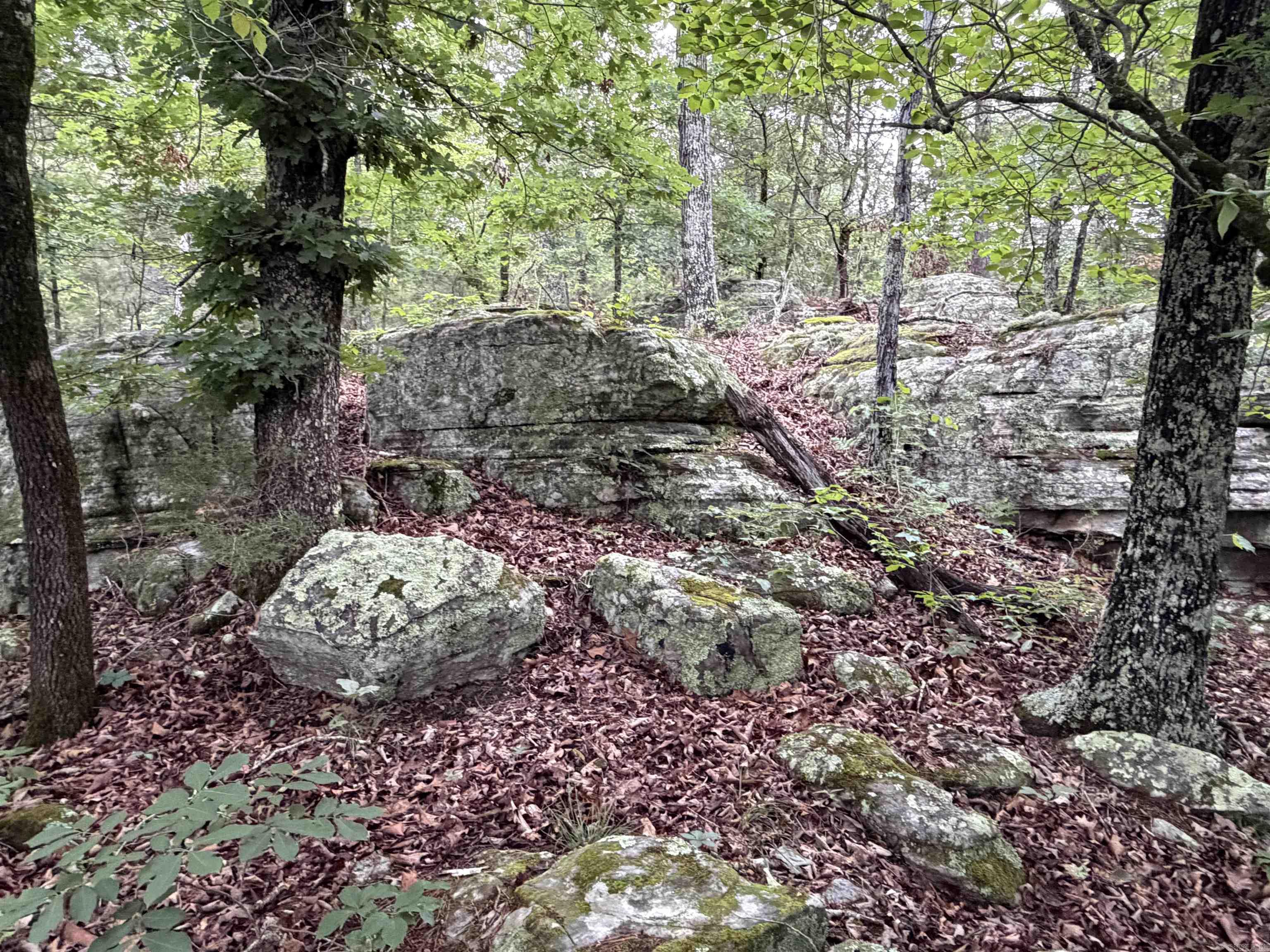 Photo 18 - Vacant Land for sale – 1031  Old Dolph Road   Calico Rock, AR