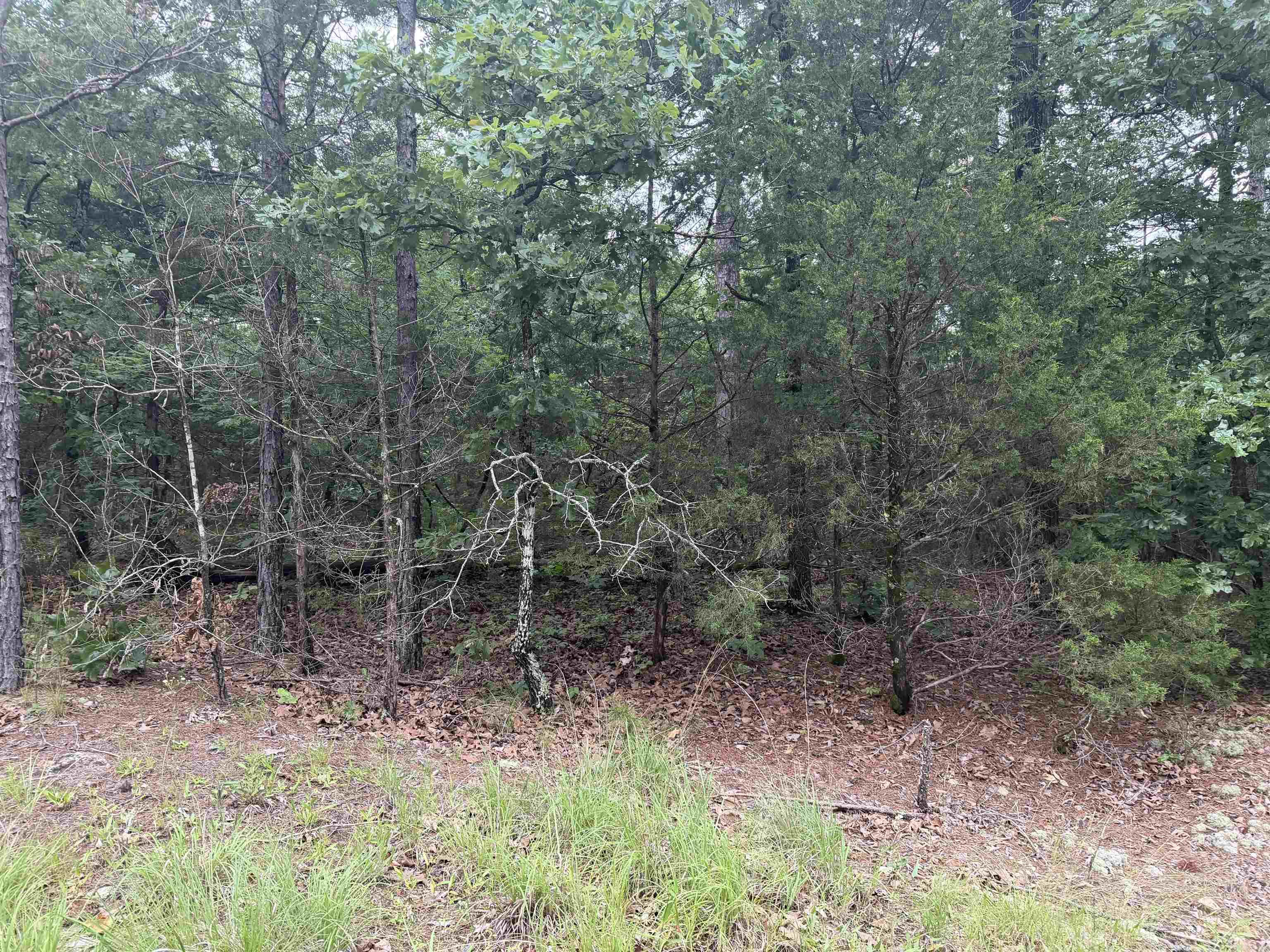 Photo 21 - Vacant Land for sale – 1031  Old Dolph Road   Calico Rock, AR