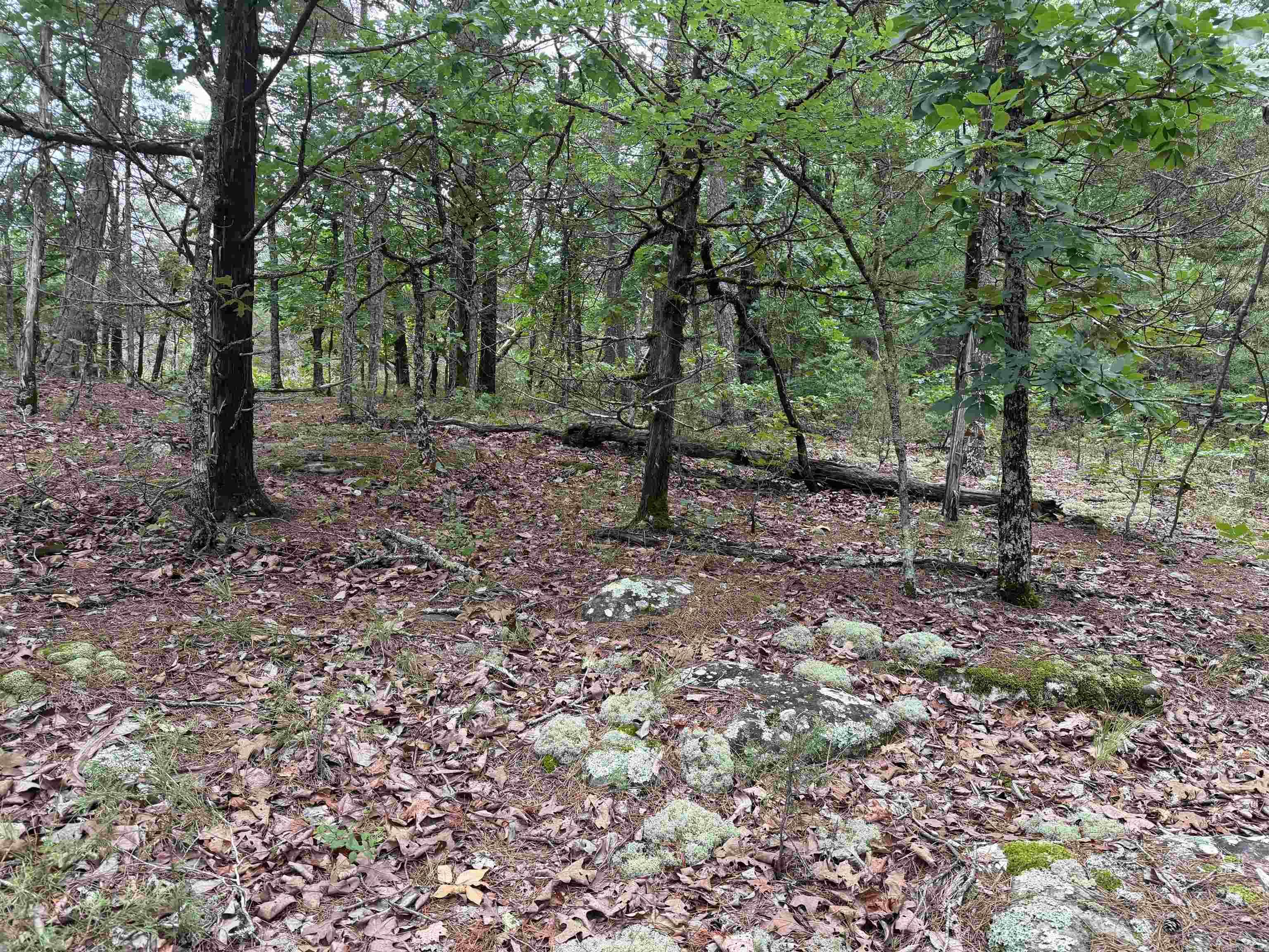 Photo 4 - Vacant Land for sale – 1031  Old Dolph Road   Calico Rock, AR