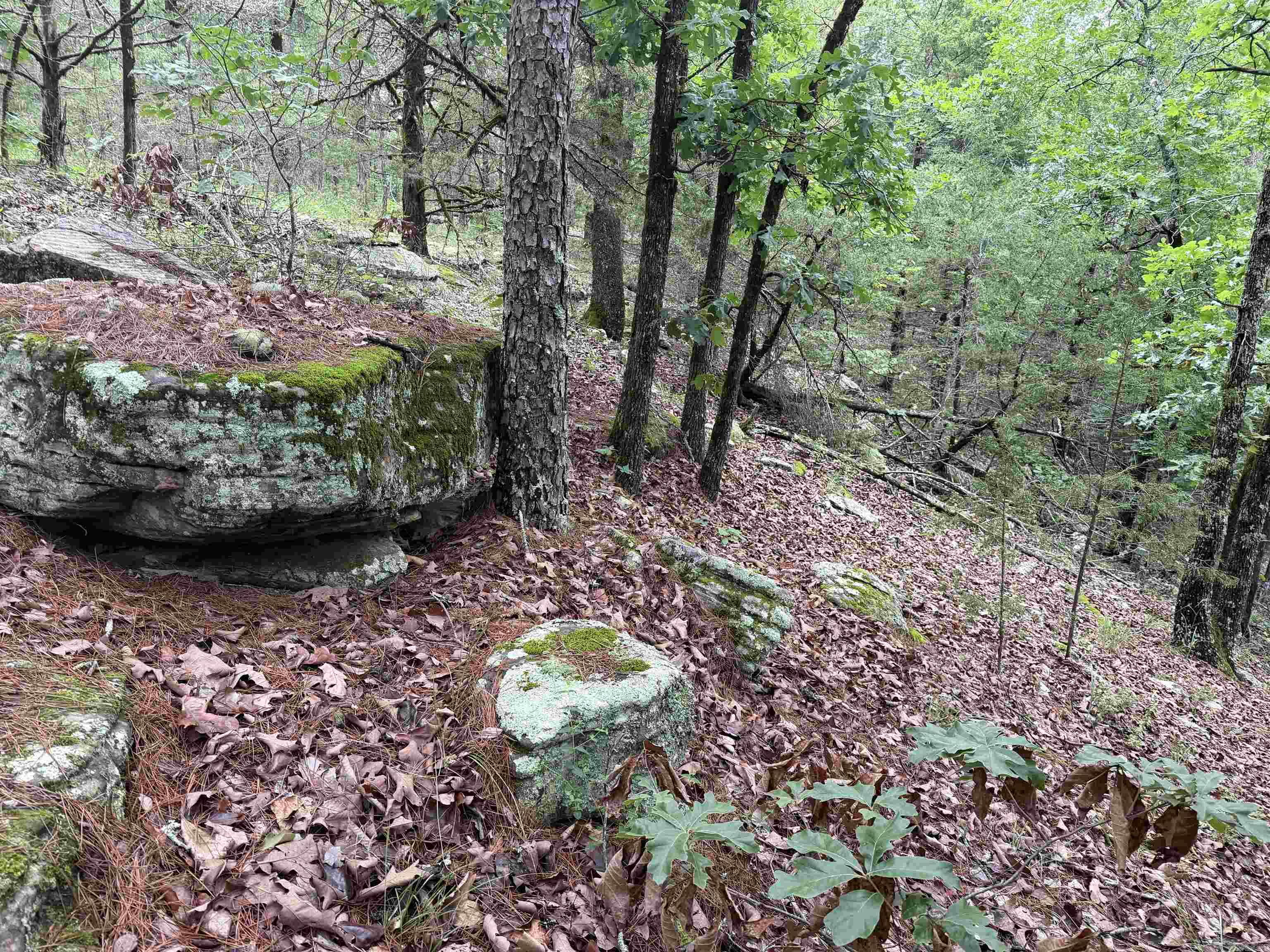 Photo 6 - Vacant Land for sale – 1031  Old Dolph Road   Calico Rock, AR