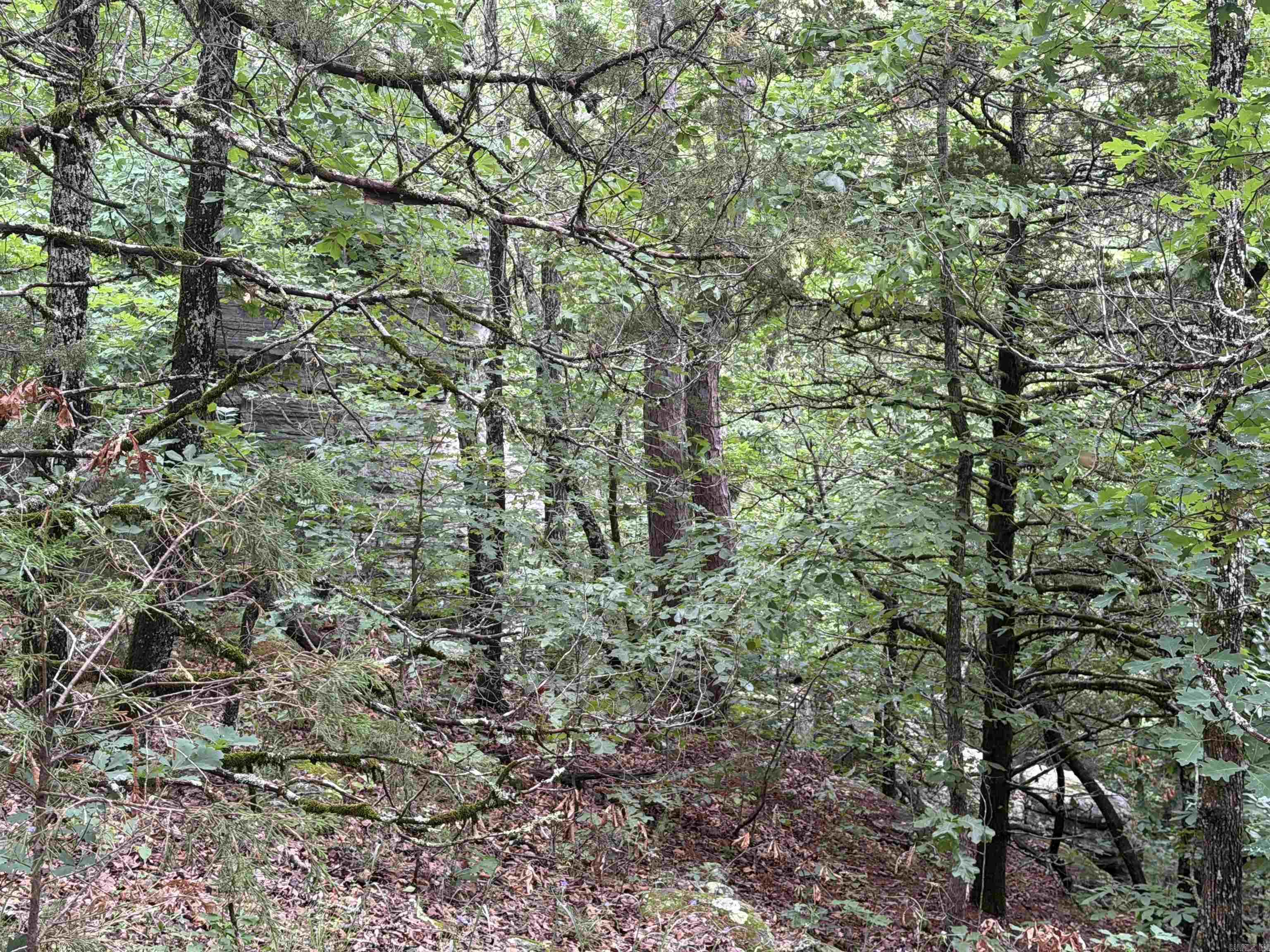 Photo 7 - Vacant Land for sale – 1031  Old Dolph Road   Calico Rock, AR