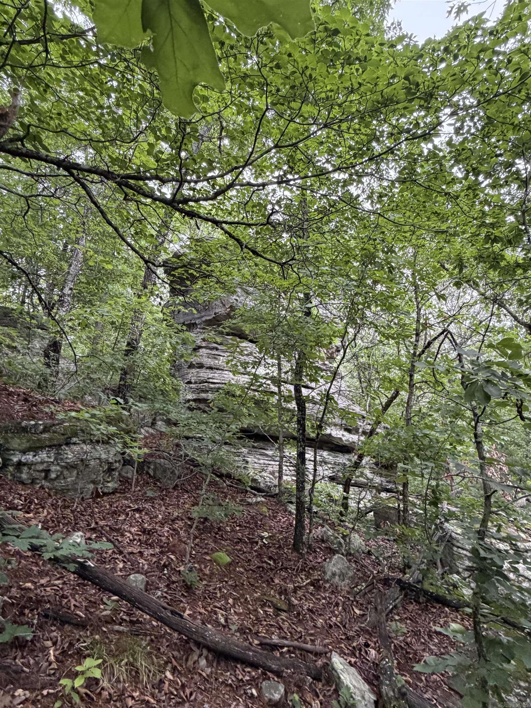 Photo 8 - Vacant Land for sale – 1031  Old Dolph Road   Calico Rock, AR