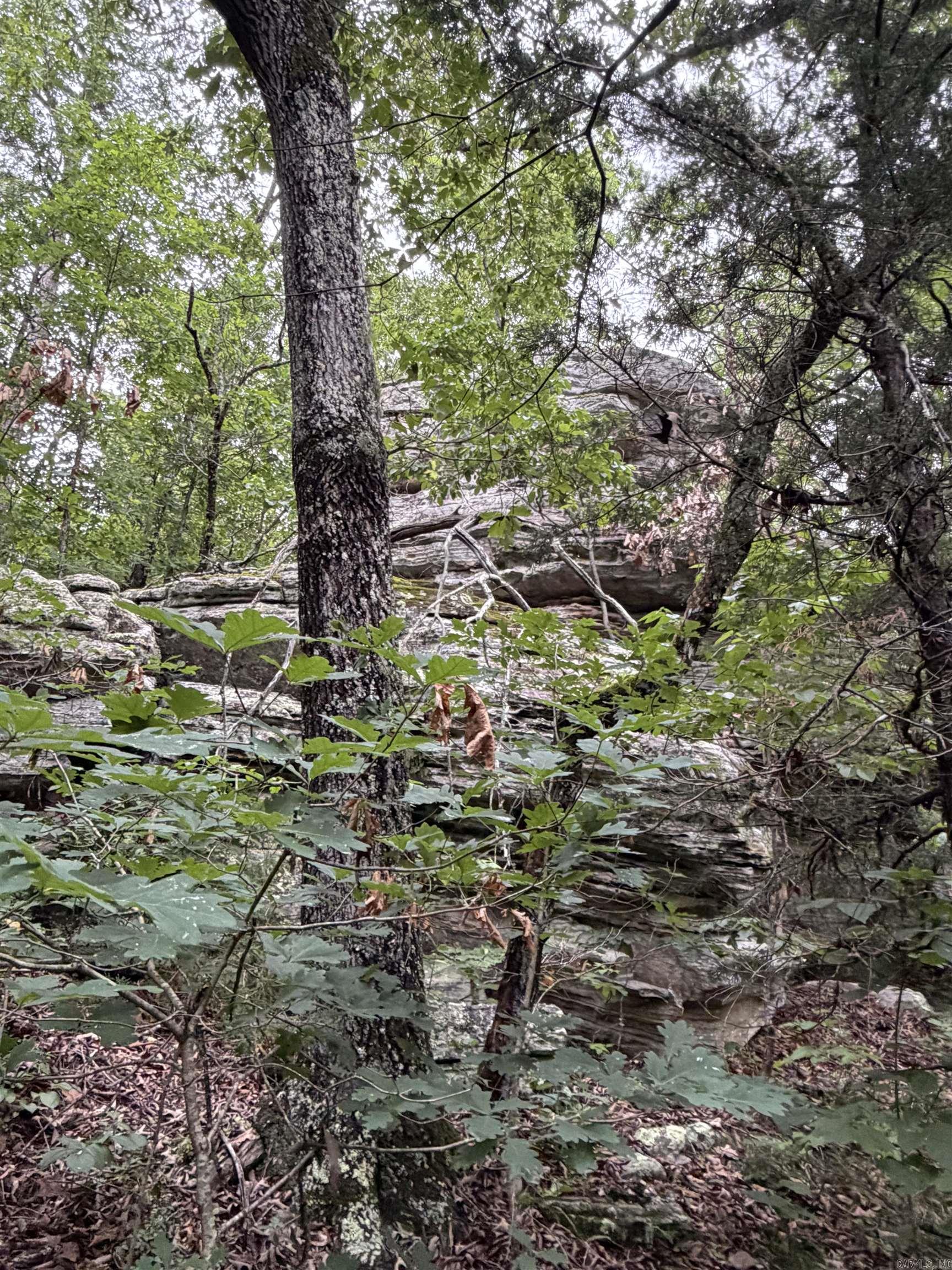 Photo 10 - Vacant Land for sale – 1031  Old Dolph Road   Calico Rock, AR