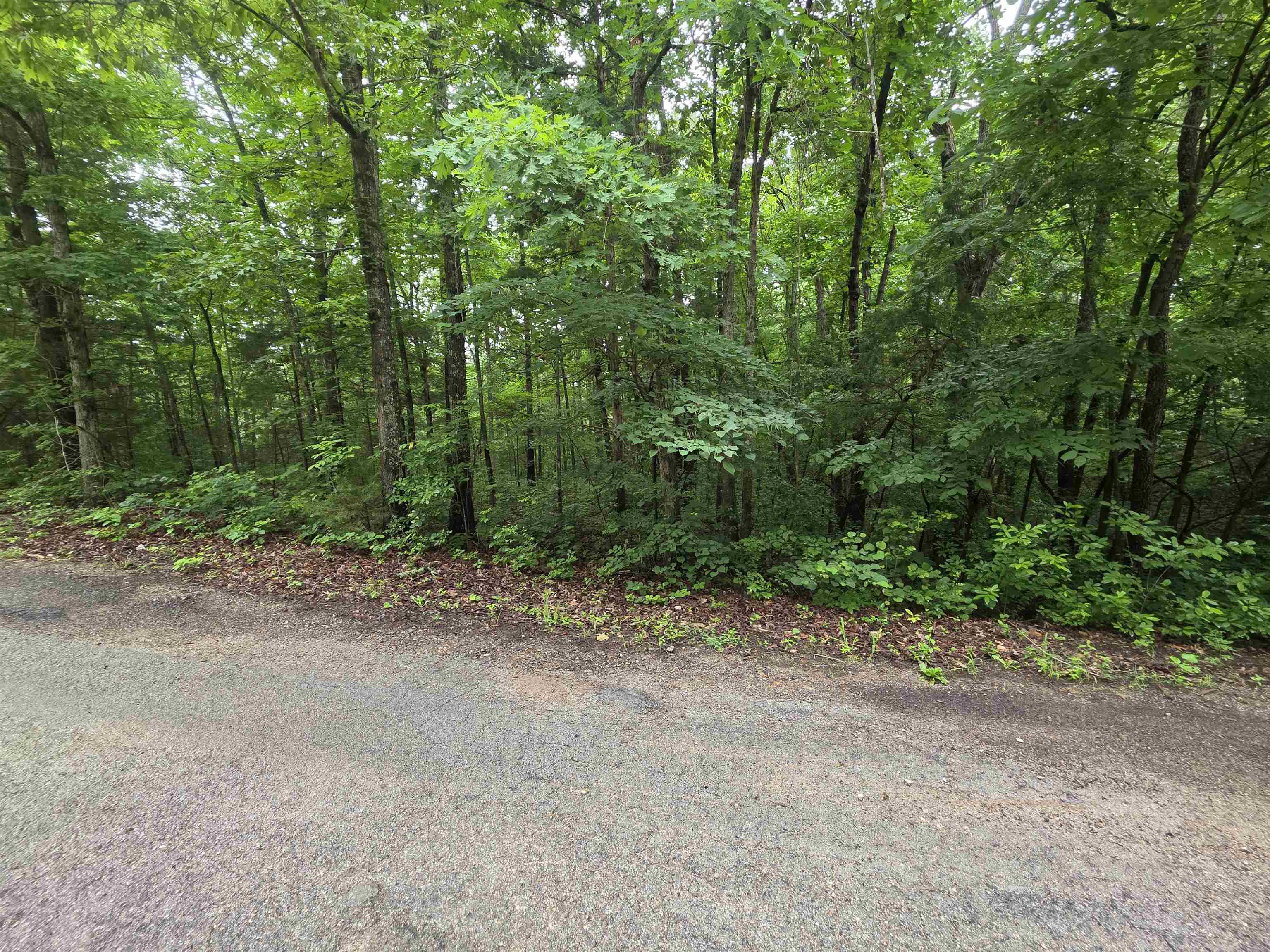 Photo 2 - Vacant Land for sale – L-47, B-2  Saskatchewan   Cherokee Village, AR