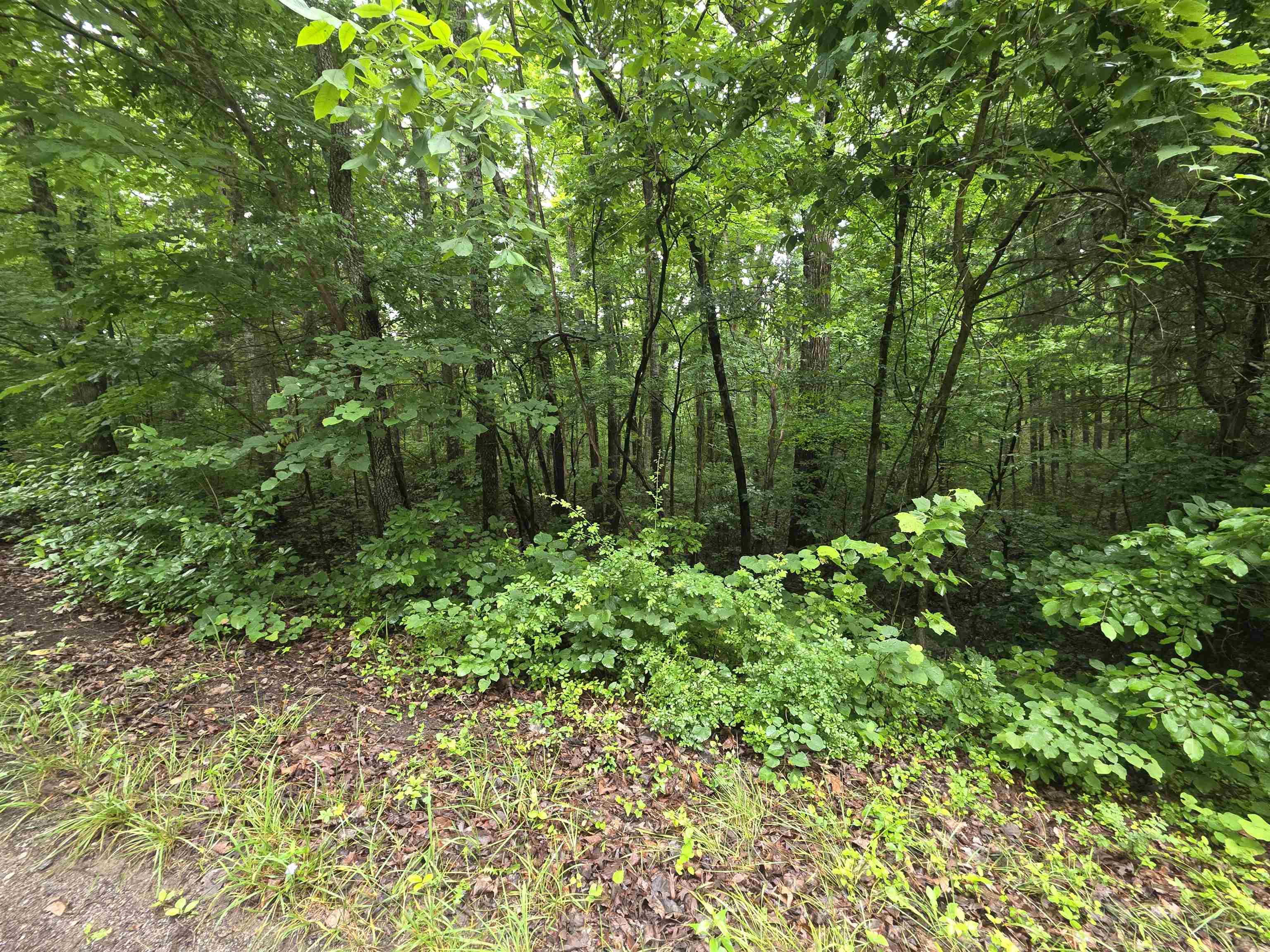 Photo 11 - Vacant Land for sale – L-47, B-2  Saskatchewan   Cherokee Village, AR
