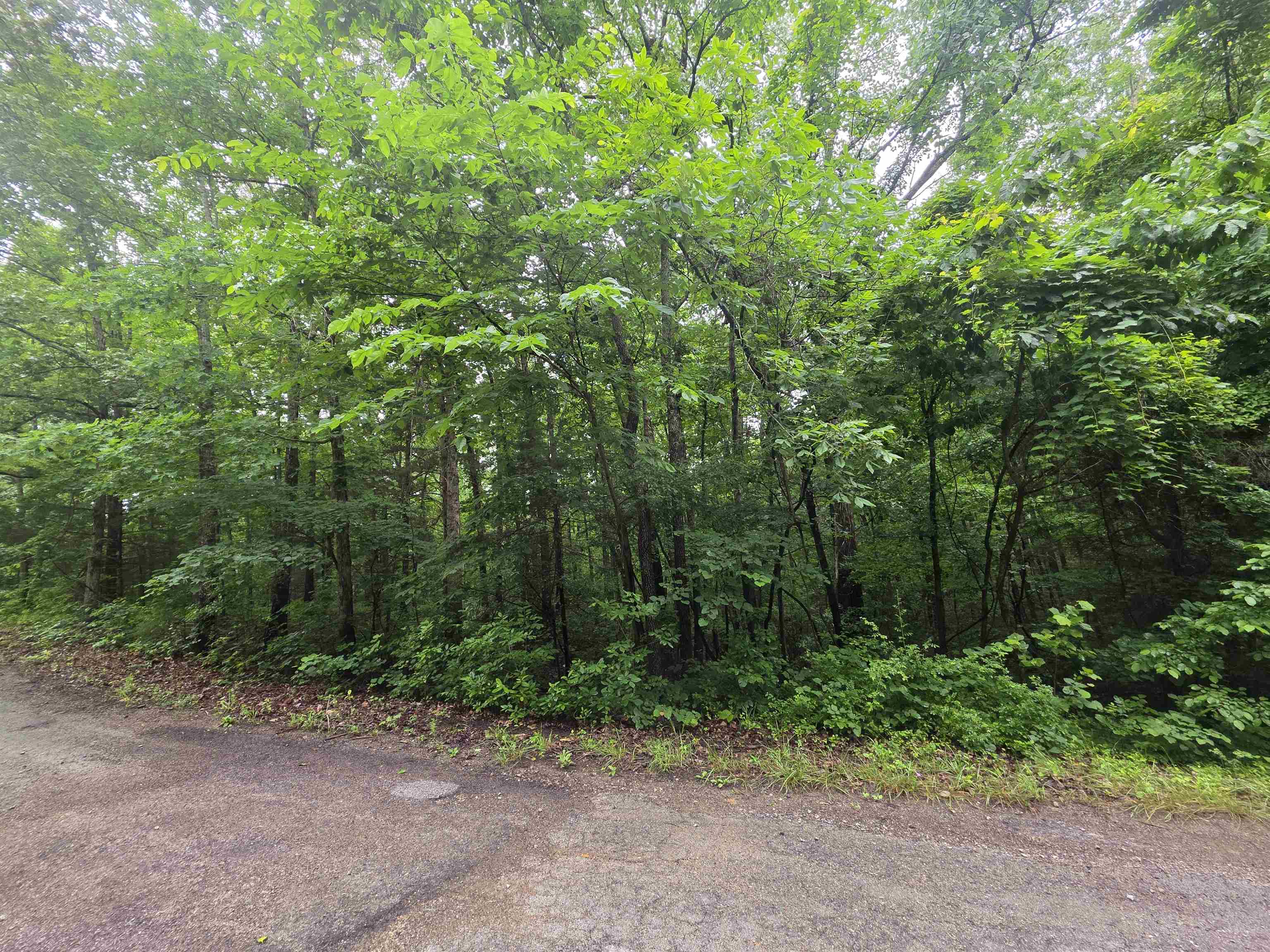 Photo 12 - Vacant Land for sale – L-47, B-2  Saskatchewan   Cherokee Village, AR