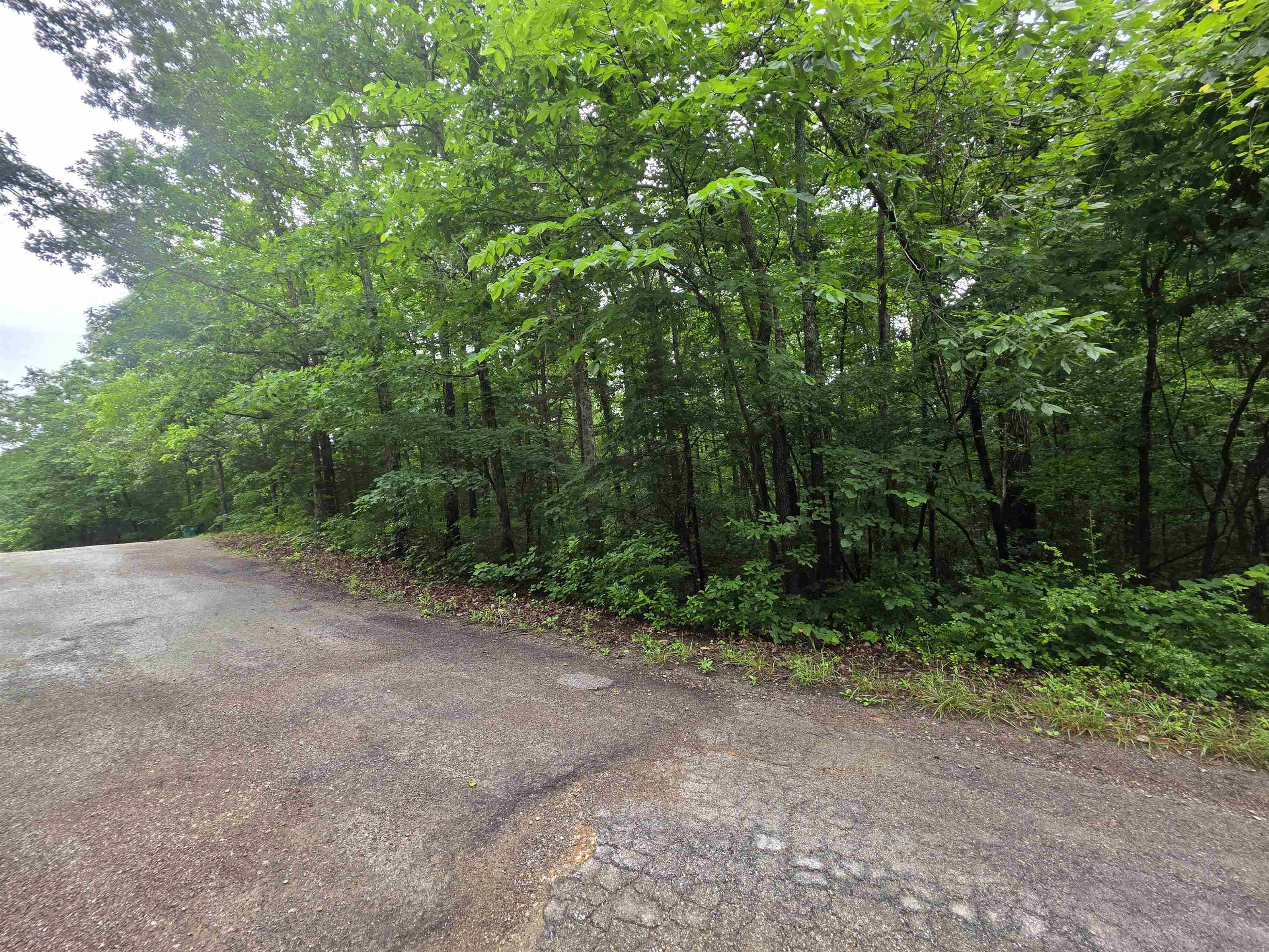 Photo 13 - Vacant Land for sale – L-47, B-2  Saskatchewan   Cherokee Village, AR