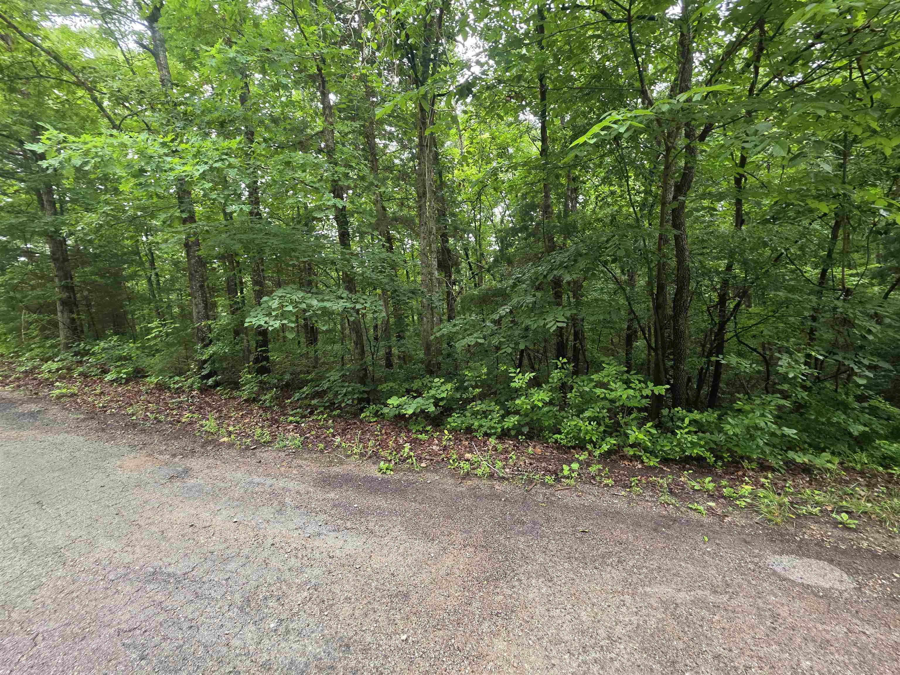 Photo 14 - Vacant Land for sale – L-47, B-2  Saskatchewan   Cherokee Village, AR