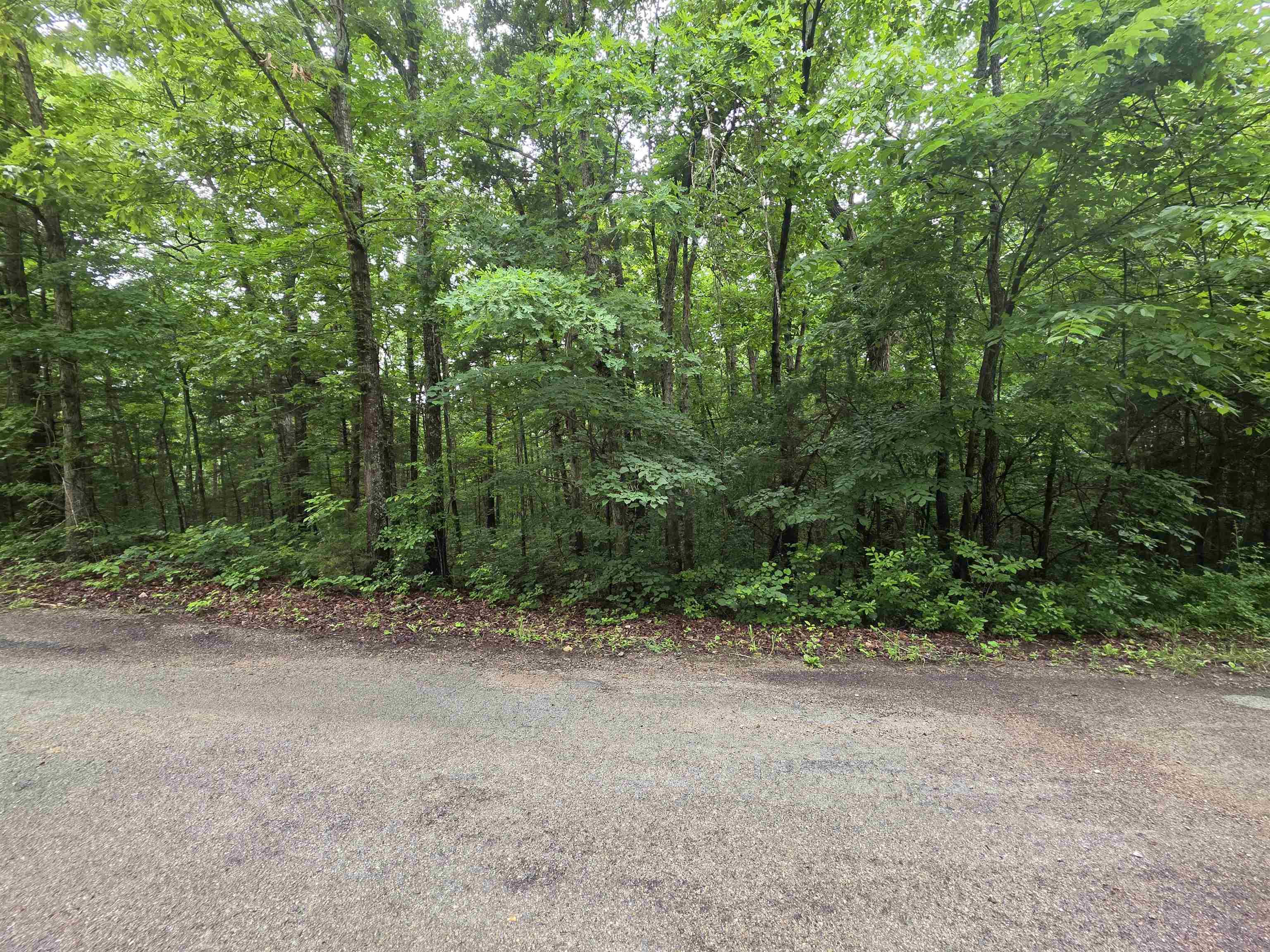 Photo 15 - Vacant Land for sale – L-47, B-2  Saskatchewan   Cherokee Village, AR