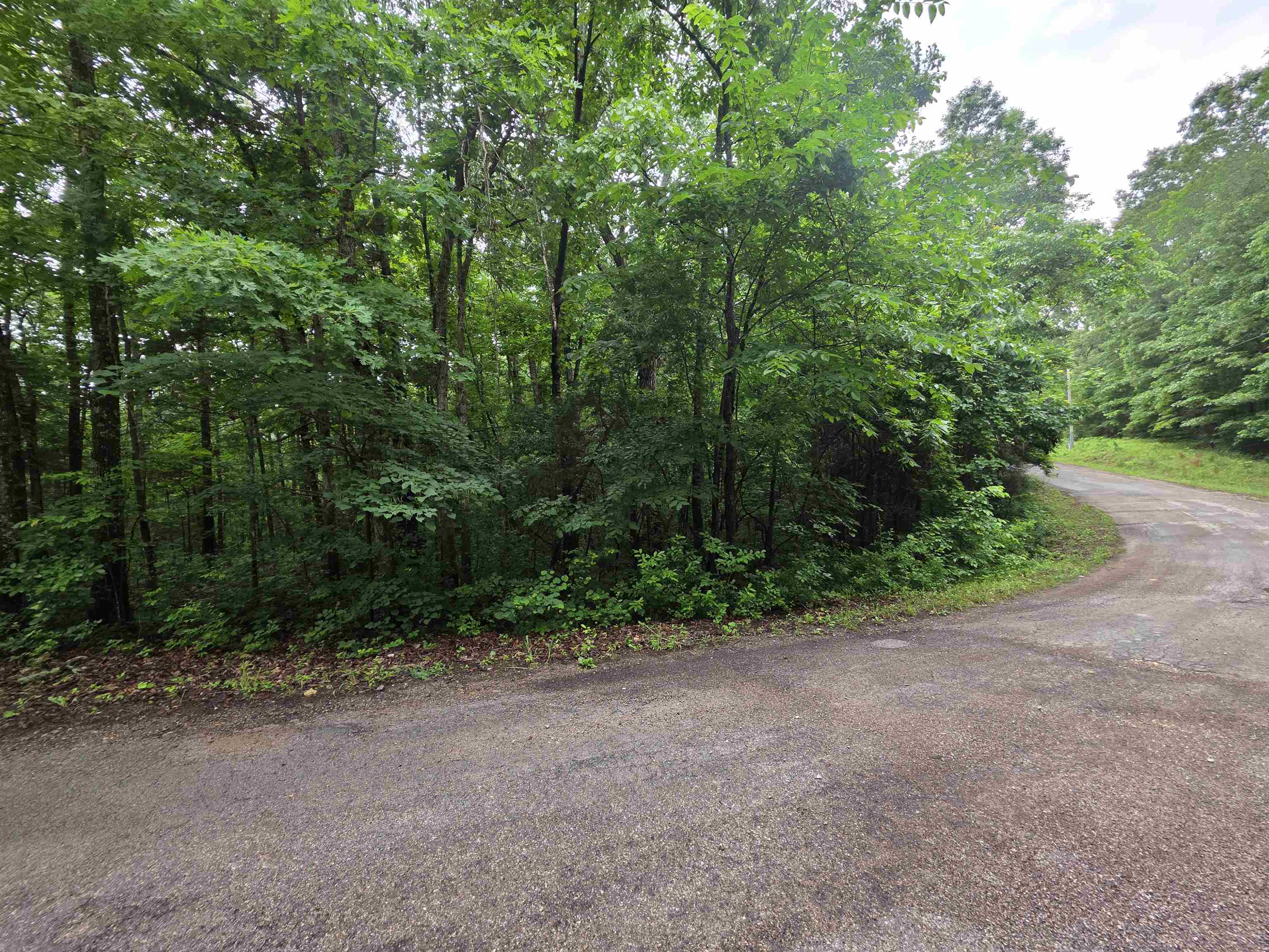 Photo 16 - Vacant Land for sale – L-47, B-2  Saskatchewan   Cherokee Village, AR