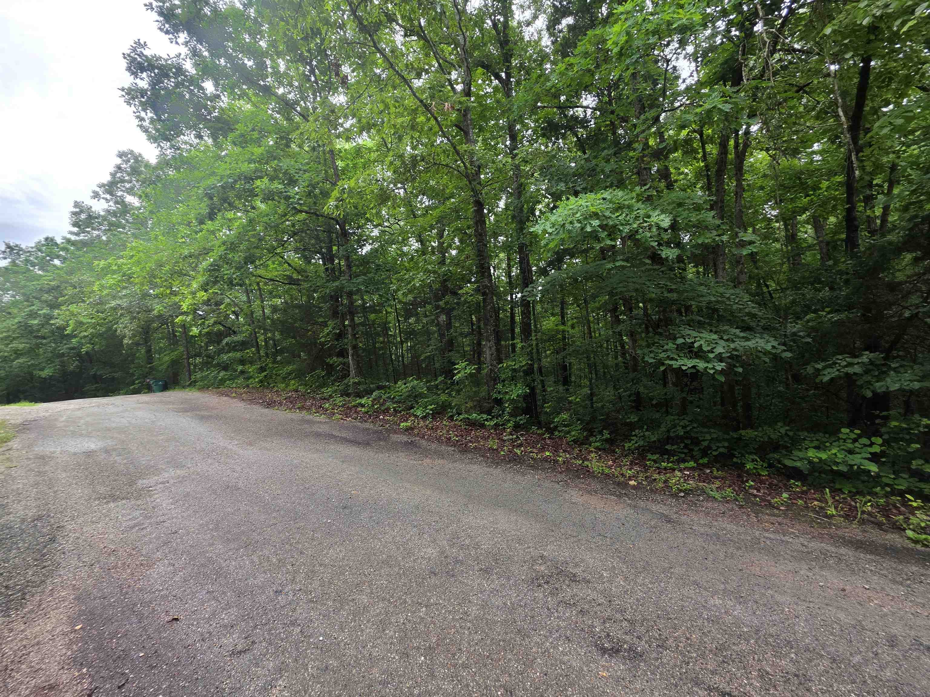 Photo 17 - Vacant Land for sale – L-47, B-2  Saskatchewan   Cherokee Village, AR