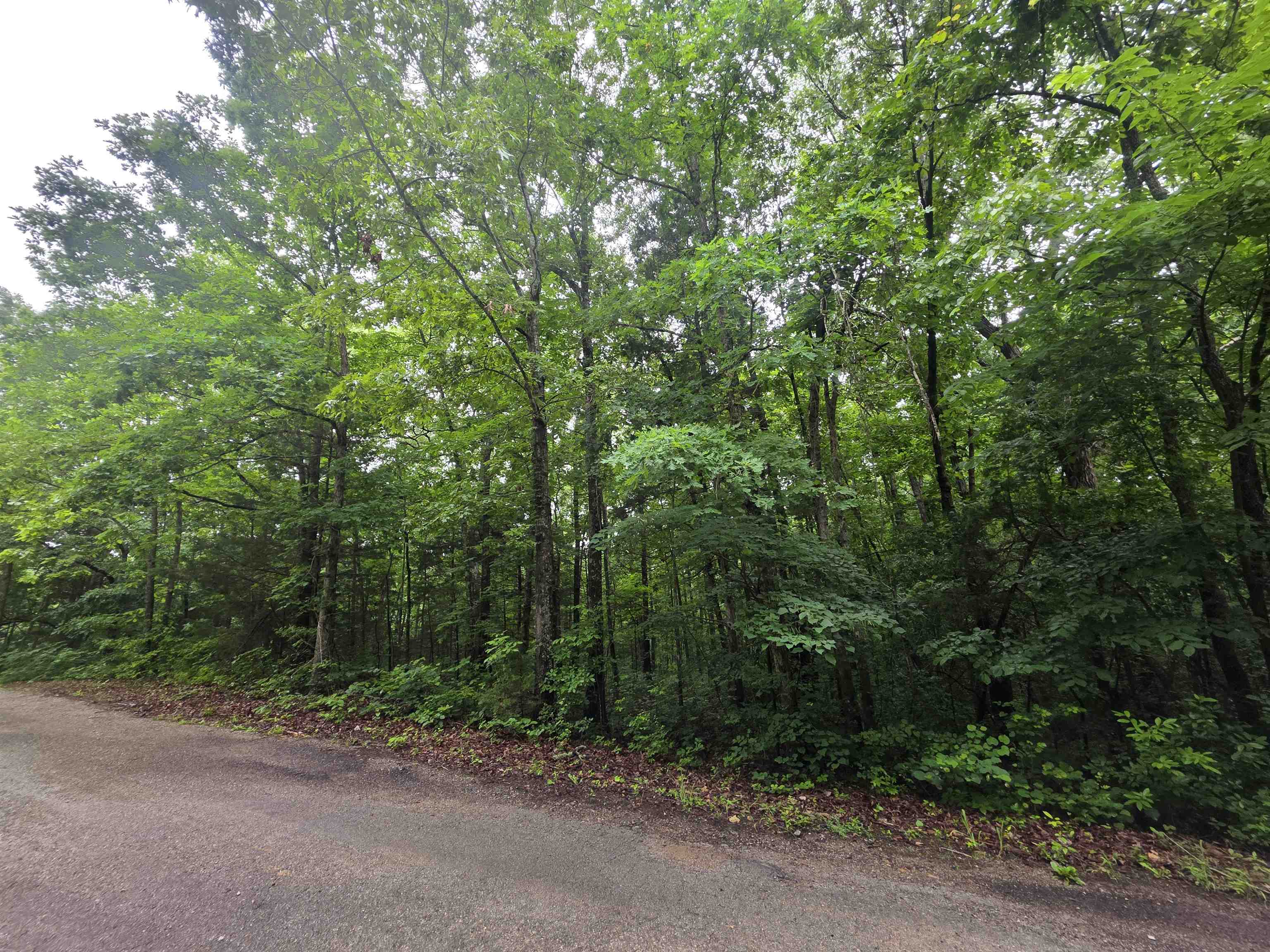 Photo 18 - Vacant Land for sale – L-47, B-2  Saskatchewan   Cherokee Village, AR
