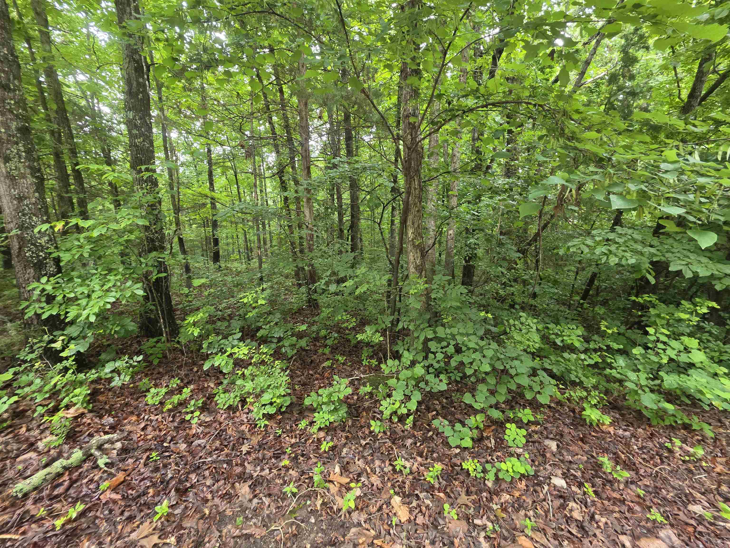 Photo 19 - Vacant Land for sale – L-47, B-2  Saskatchewan   Cherokee Village, AR