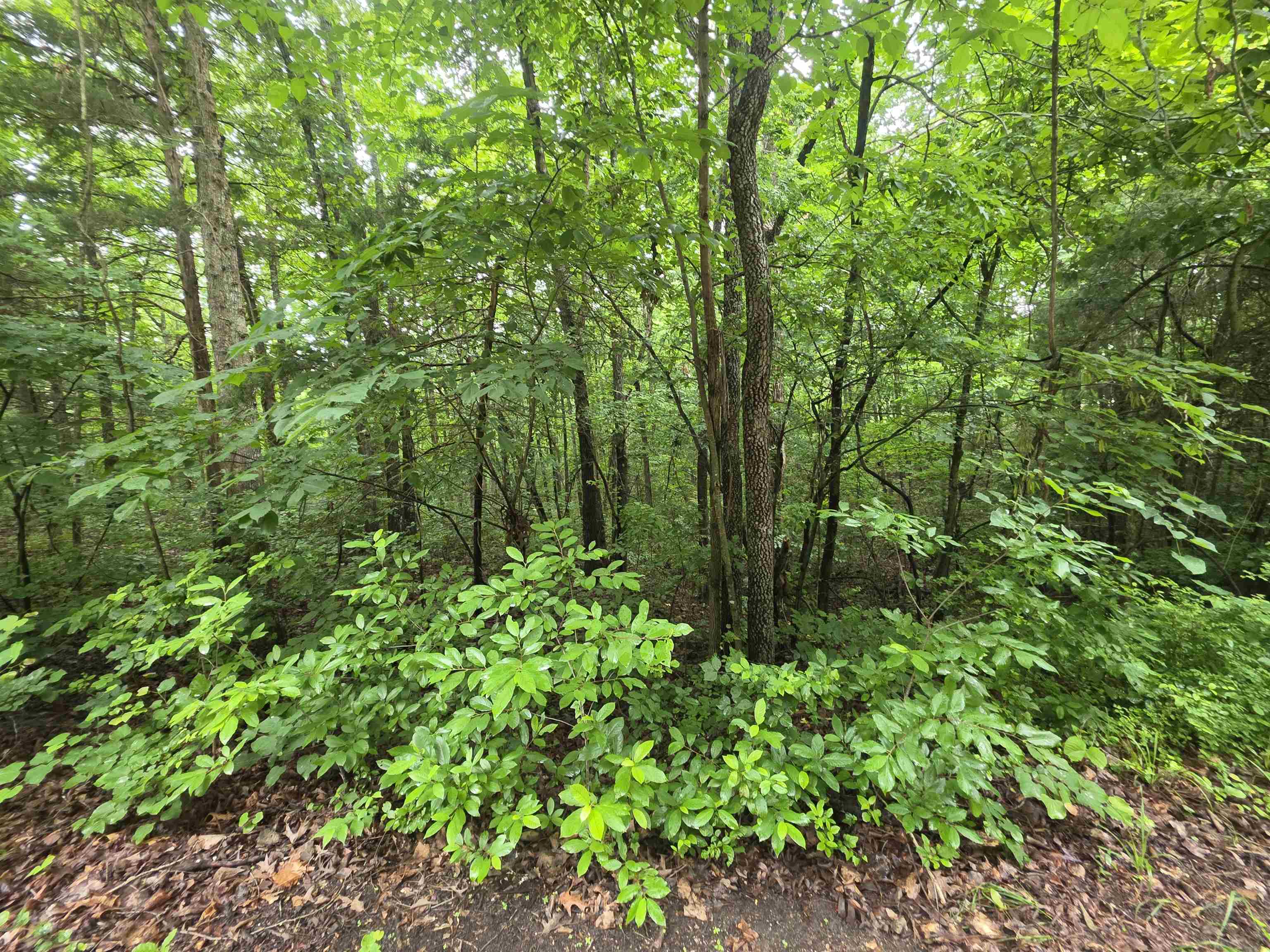 Photo 20 - Vacant Land for sale – L-47, B-2  Saskatchewan   Cherokee Village, AR
