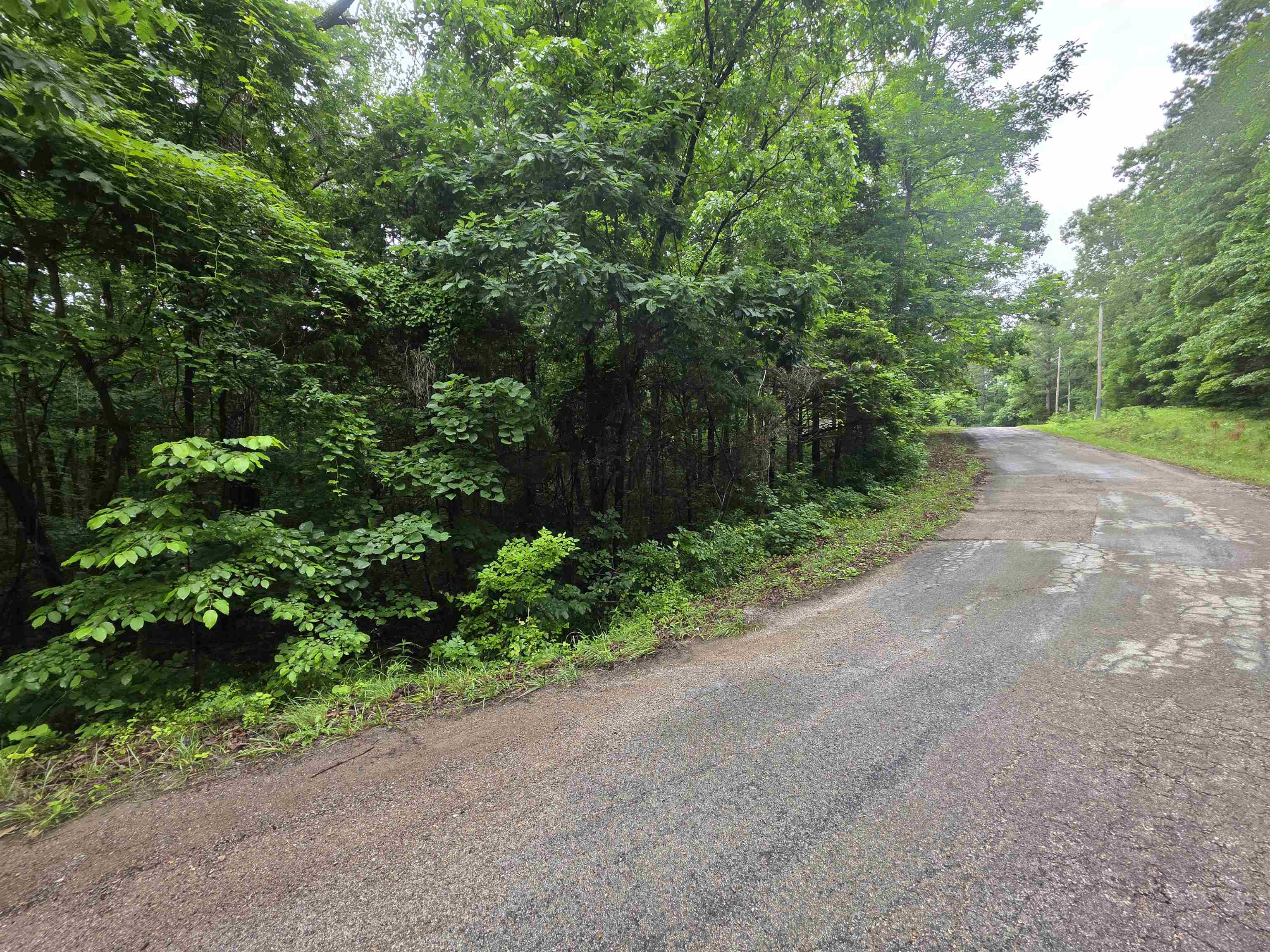 Photo 3 - Vacant Land for sale – L-47, B-2  Saskatchewan   Cherokee Village, AR