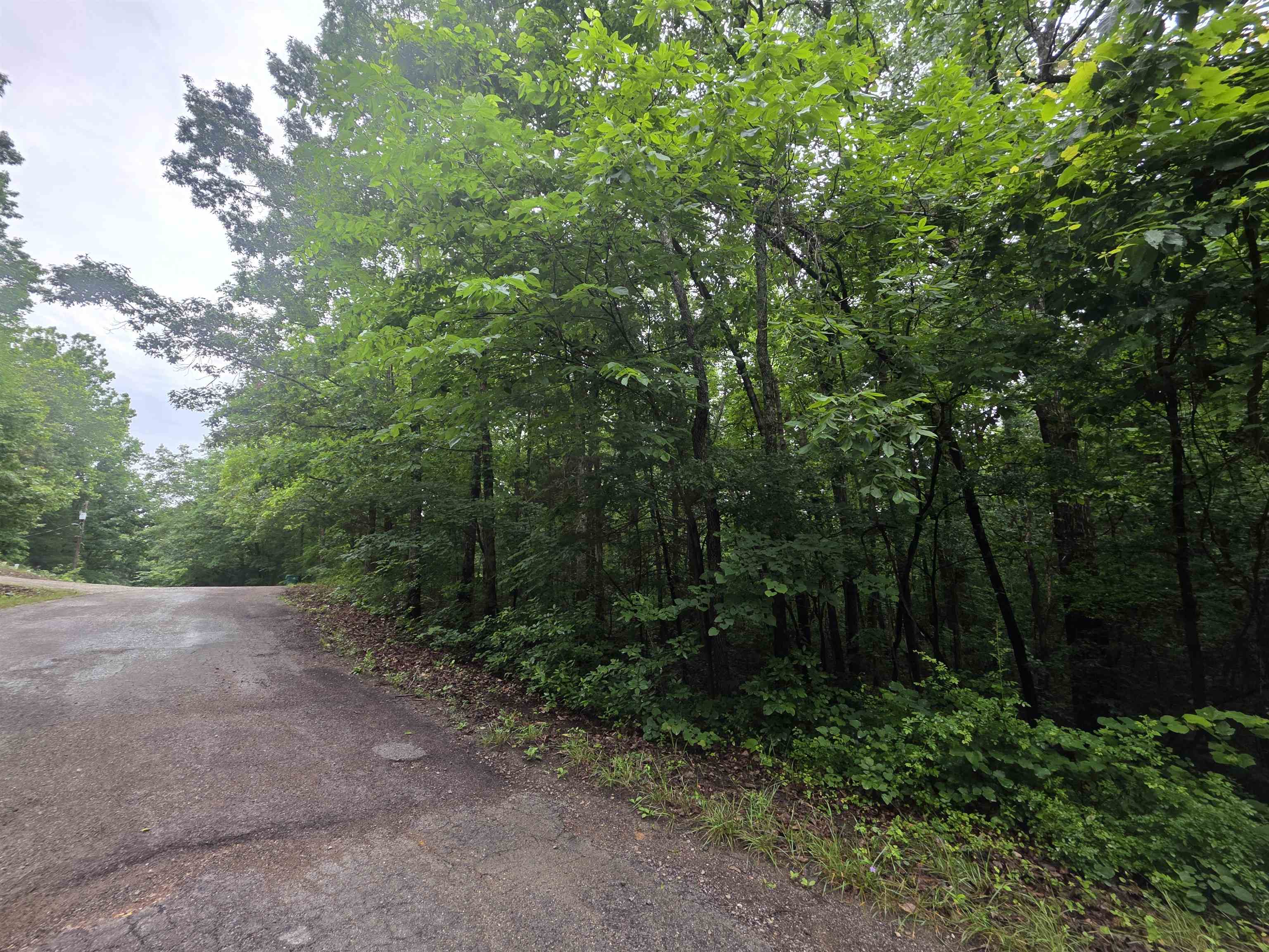 Photo 5 - Vacant Land for sale – L-47, B-2  Saskatchewan   Cherokee Village, AR